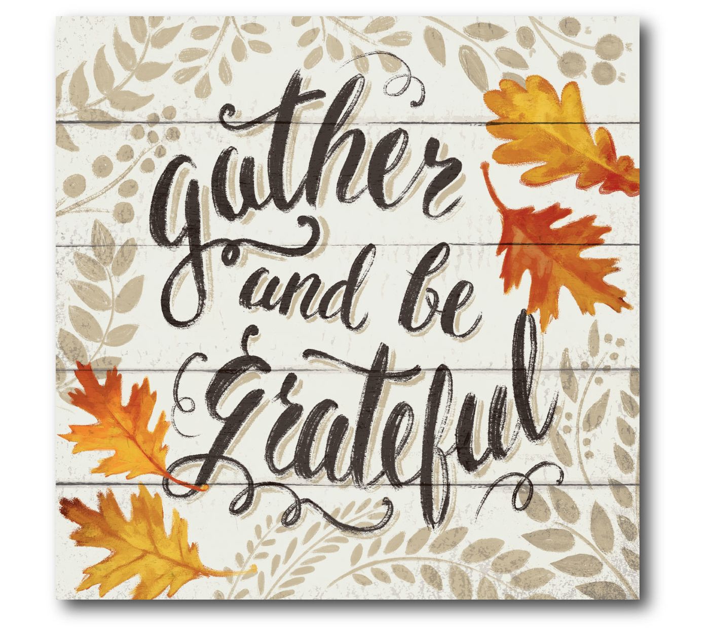 Courtside Market Harvest Delight VI on White 16x16 Canvas