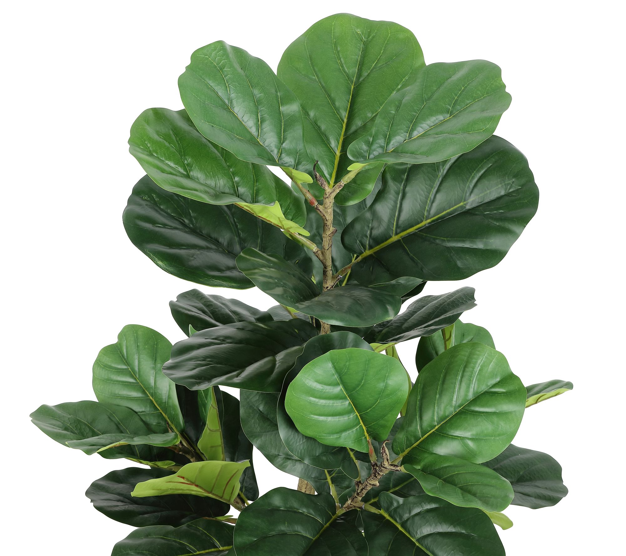 Safavieh Faux Multi Branch Fiddle Leaf Fig 72