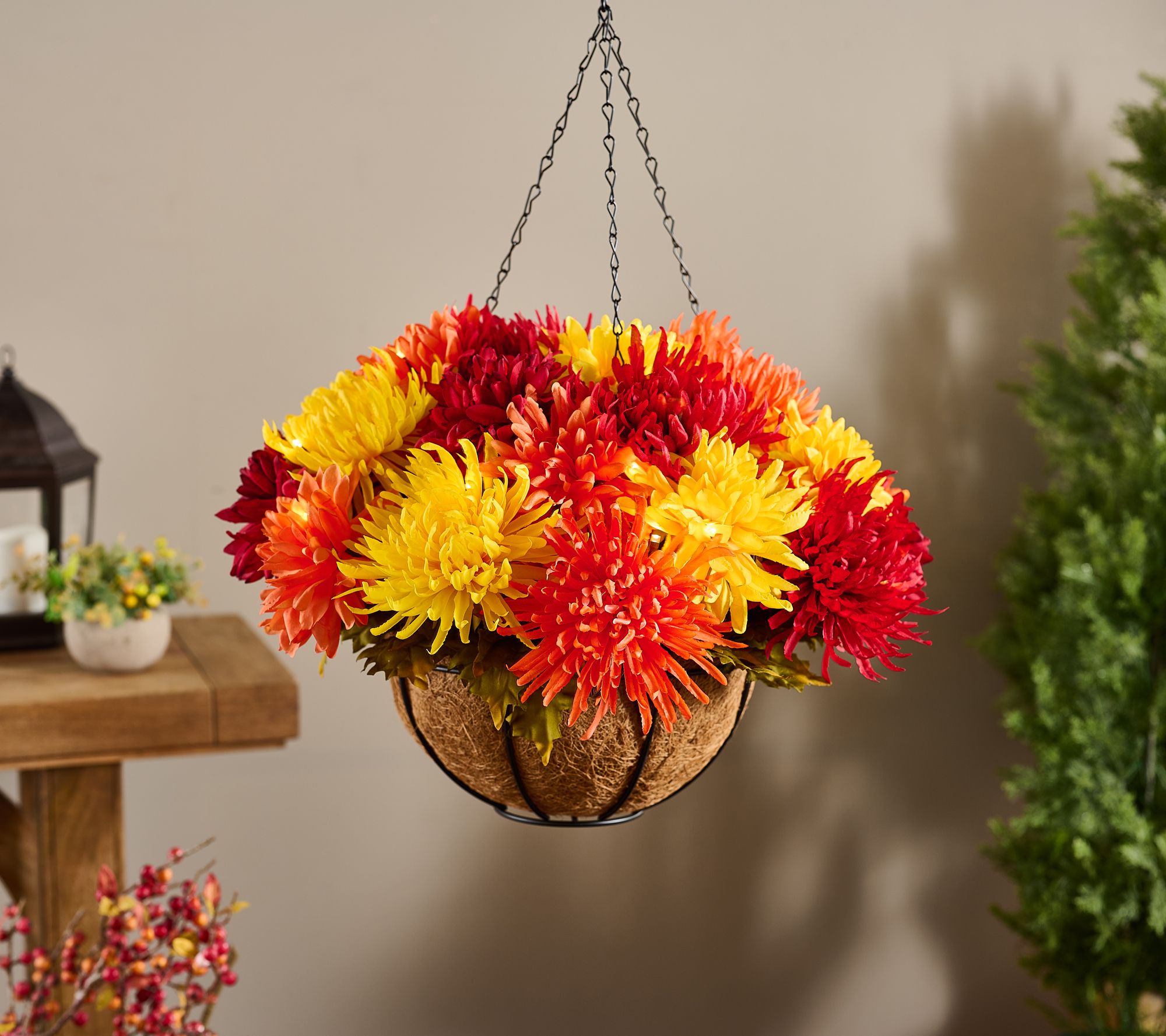 "As Is" Bethlehem Lights 20" Chrysanthemum Hanging Basket