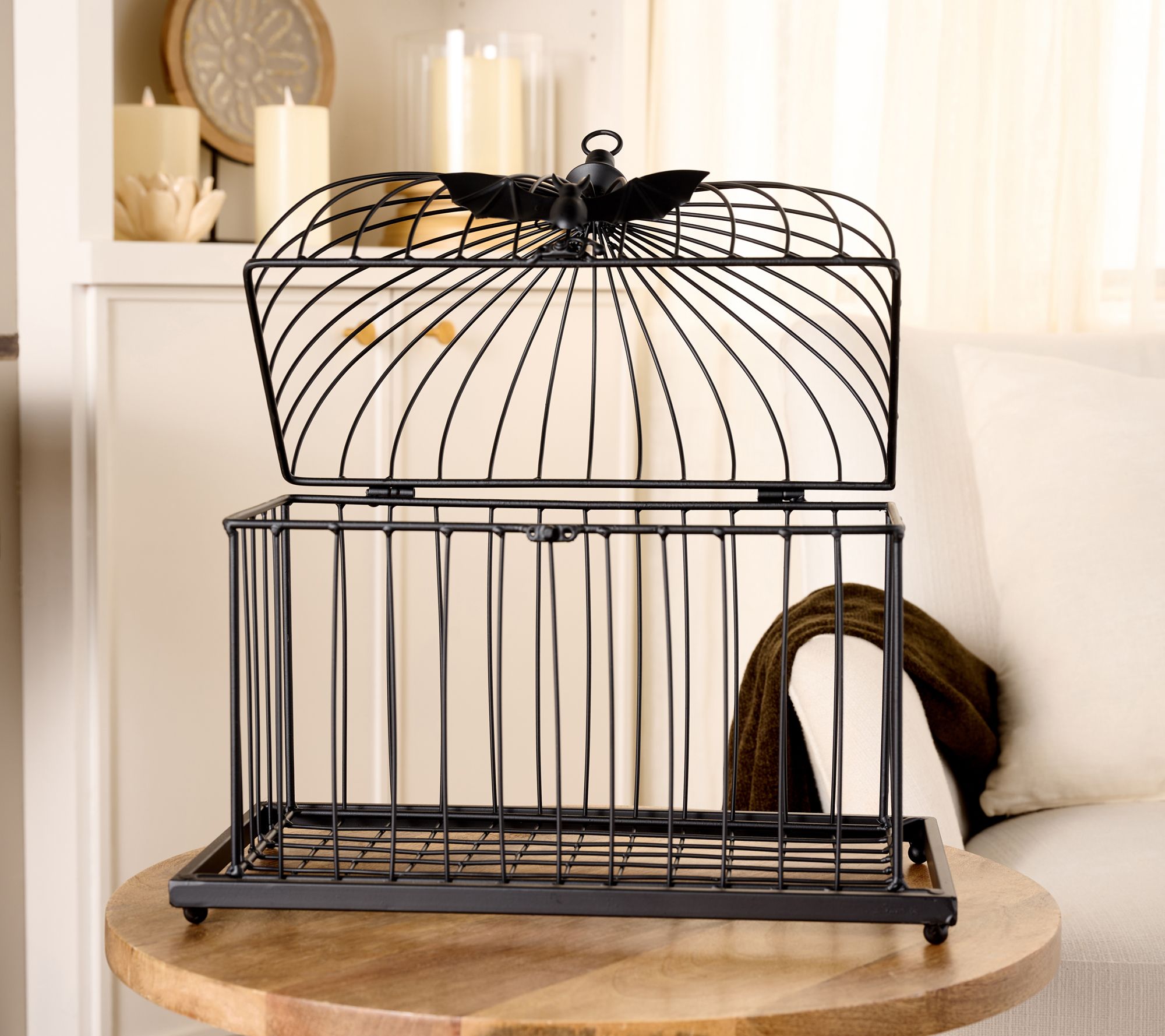 Sister Road Black Metal Decorative Birdcage with Bat - QVC.com