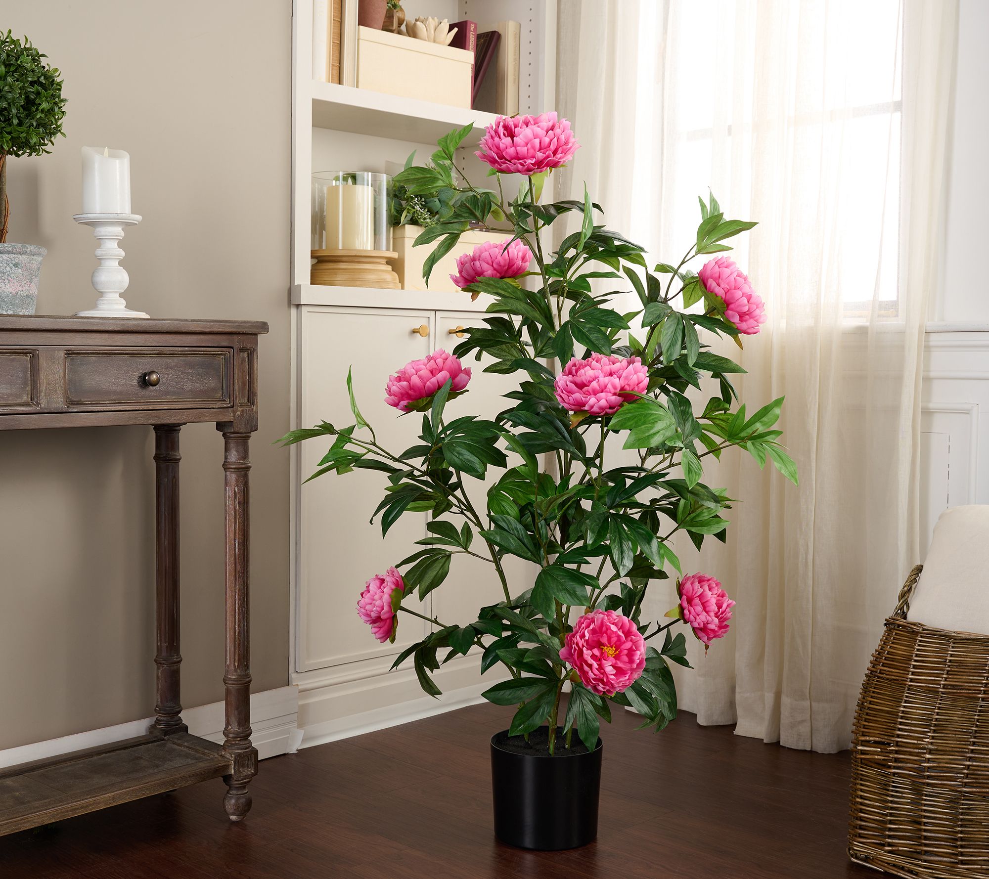 4' Peony Bush in Pot by Valerie