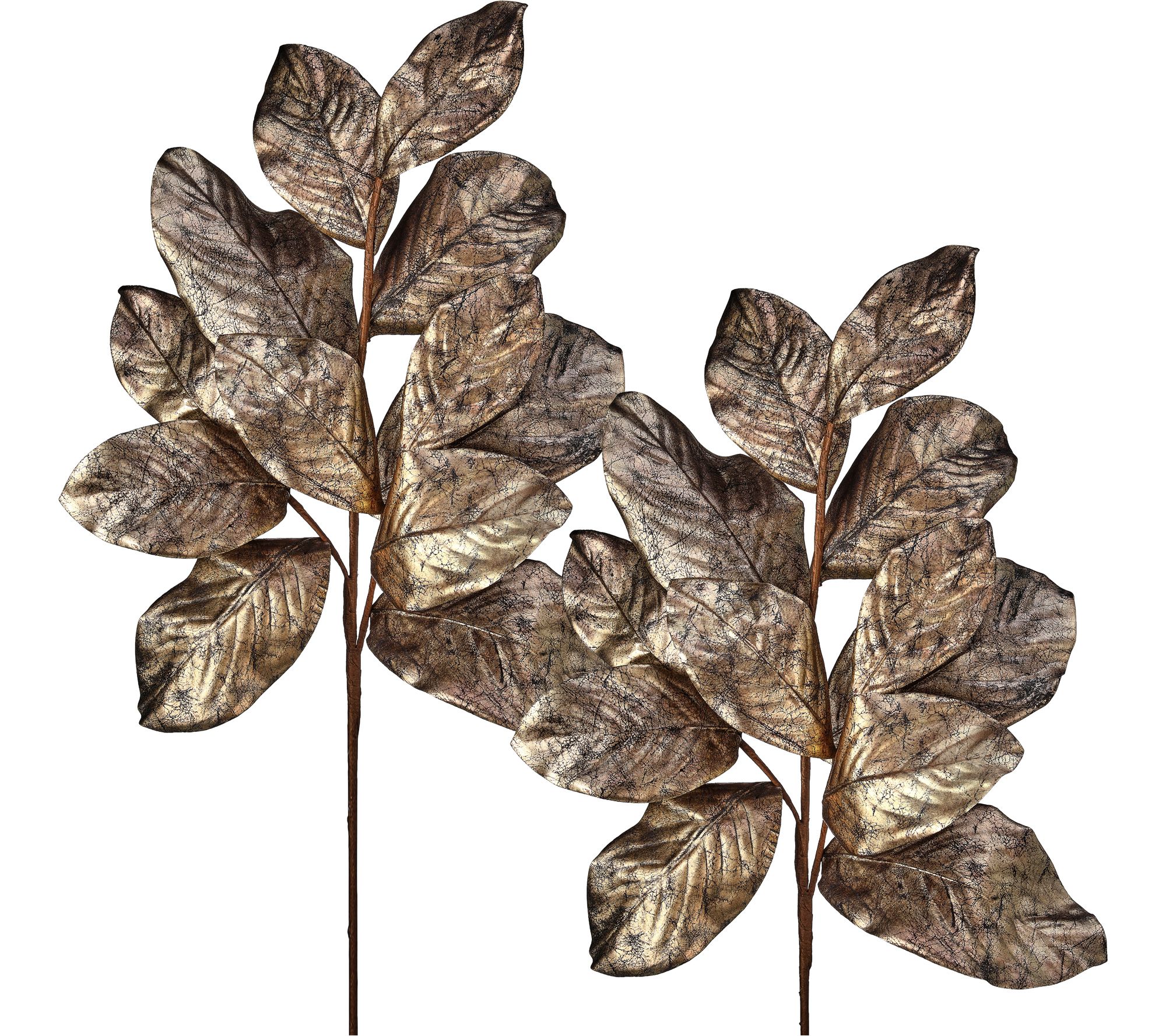 37" Gilded Magnolia Leaf Spray Set of 2 by Valerie