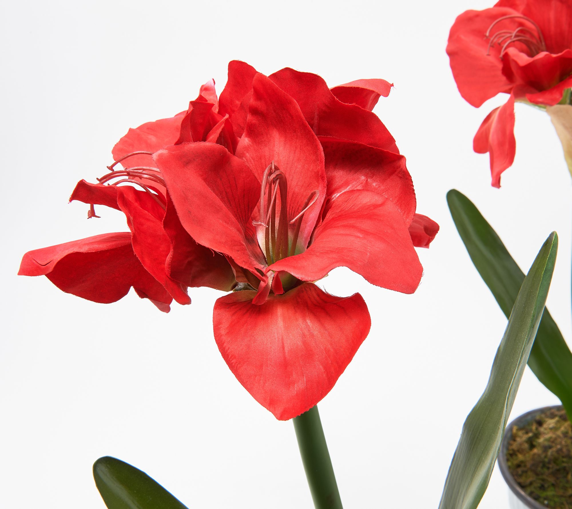 Set of (2) 22" Faux Amaryllis Potted Plants by Valerie