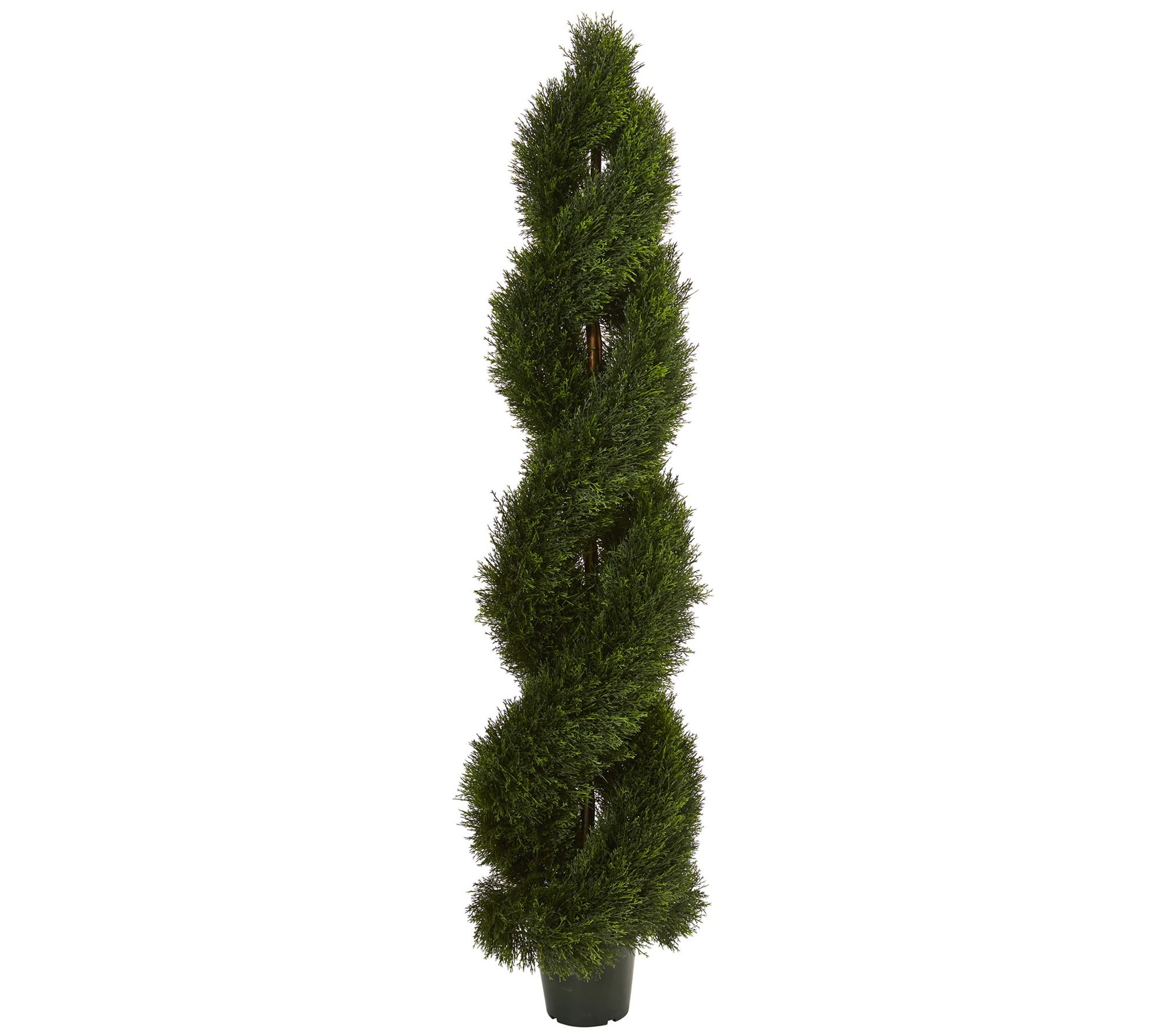 Double Pond Cypress Spiral Topiary by Nearly Natural