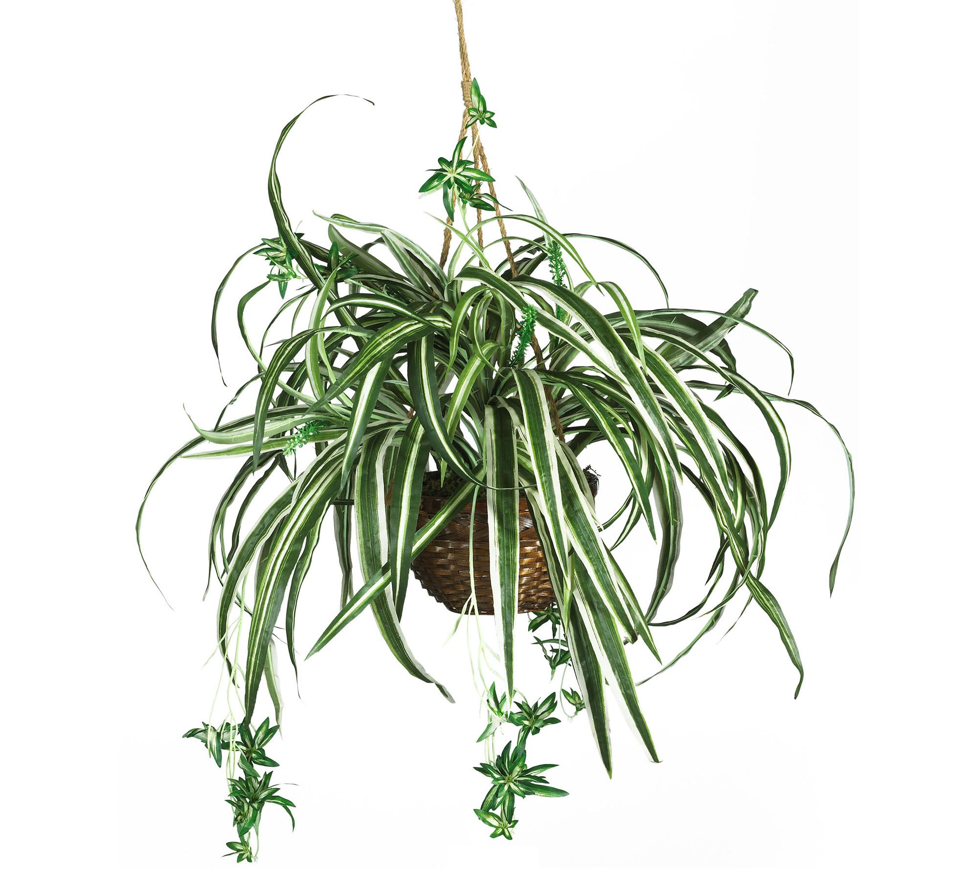 Spider Hanging Basket Silk Plant by Nearly Natural