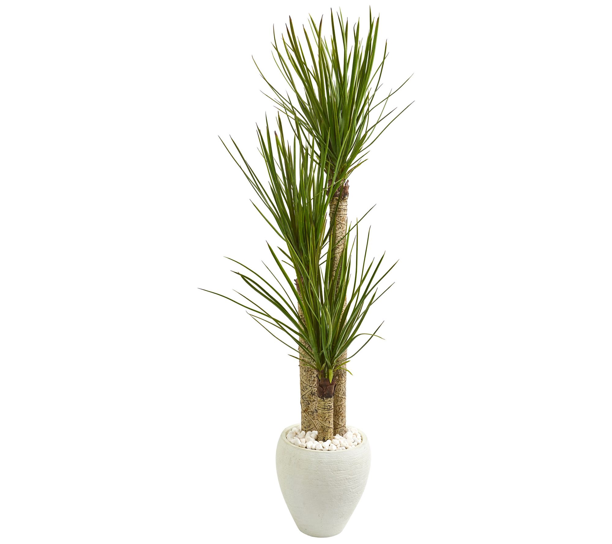 5.5' Yucca Tree in White Planter by Nearly Natural - QVC.com