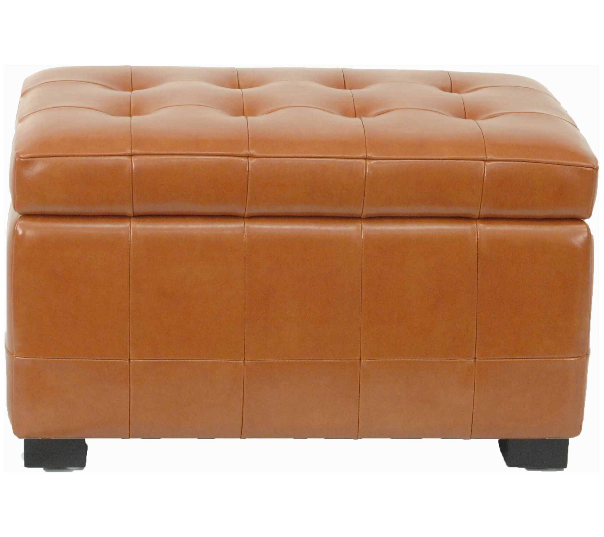 Safavieh Small Manhattan Storage Bench