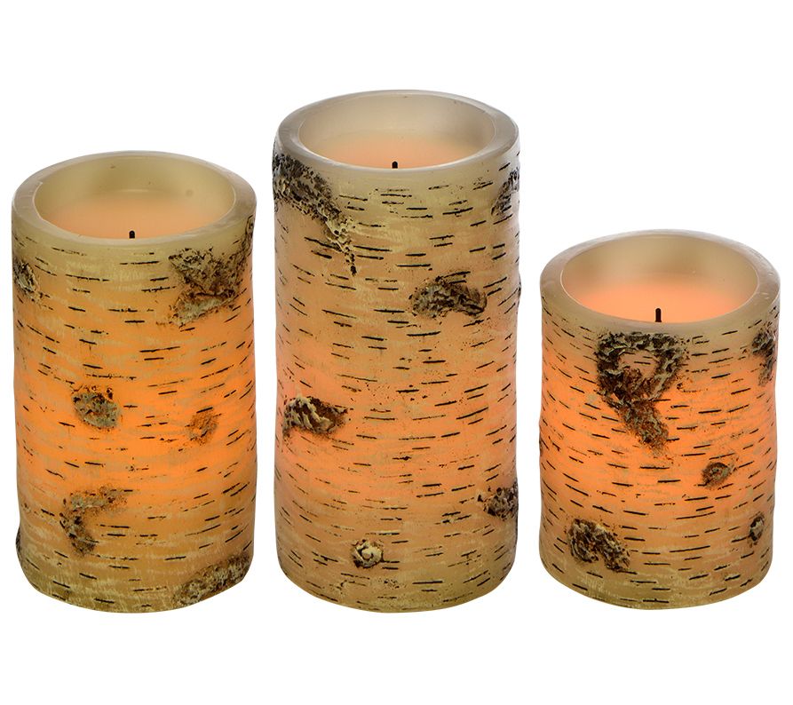 Candle Impressions S/3 White Birch Candles by Sterno Home