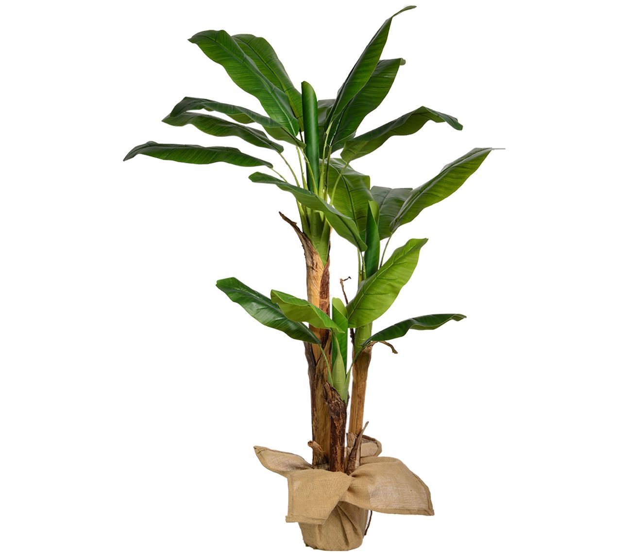 Vintage Home 60"H Banana Tree with Burlap Kit
