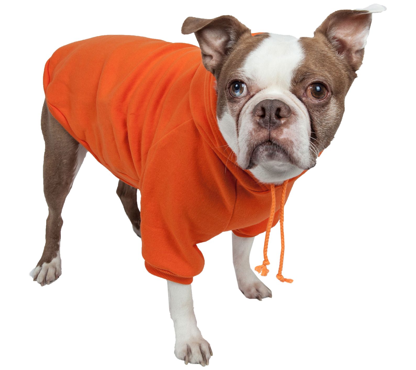Pet Life Fashion Plush Cotton Pet Hoodie Hooded Sweater
