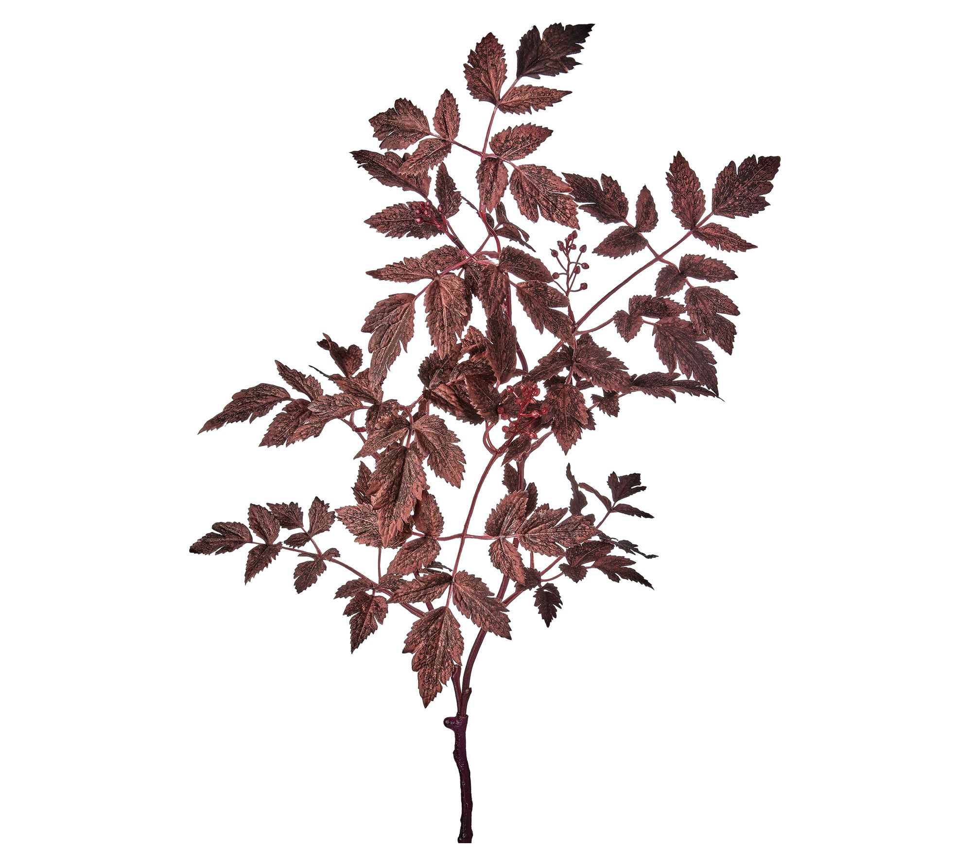 31" Autumn Ruscus With Berry Spray By Valerie
