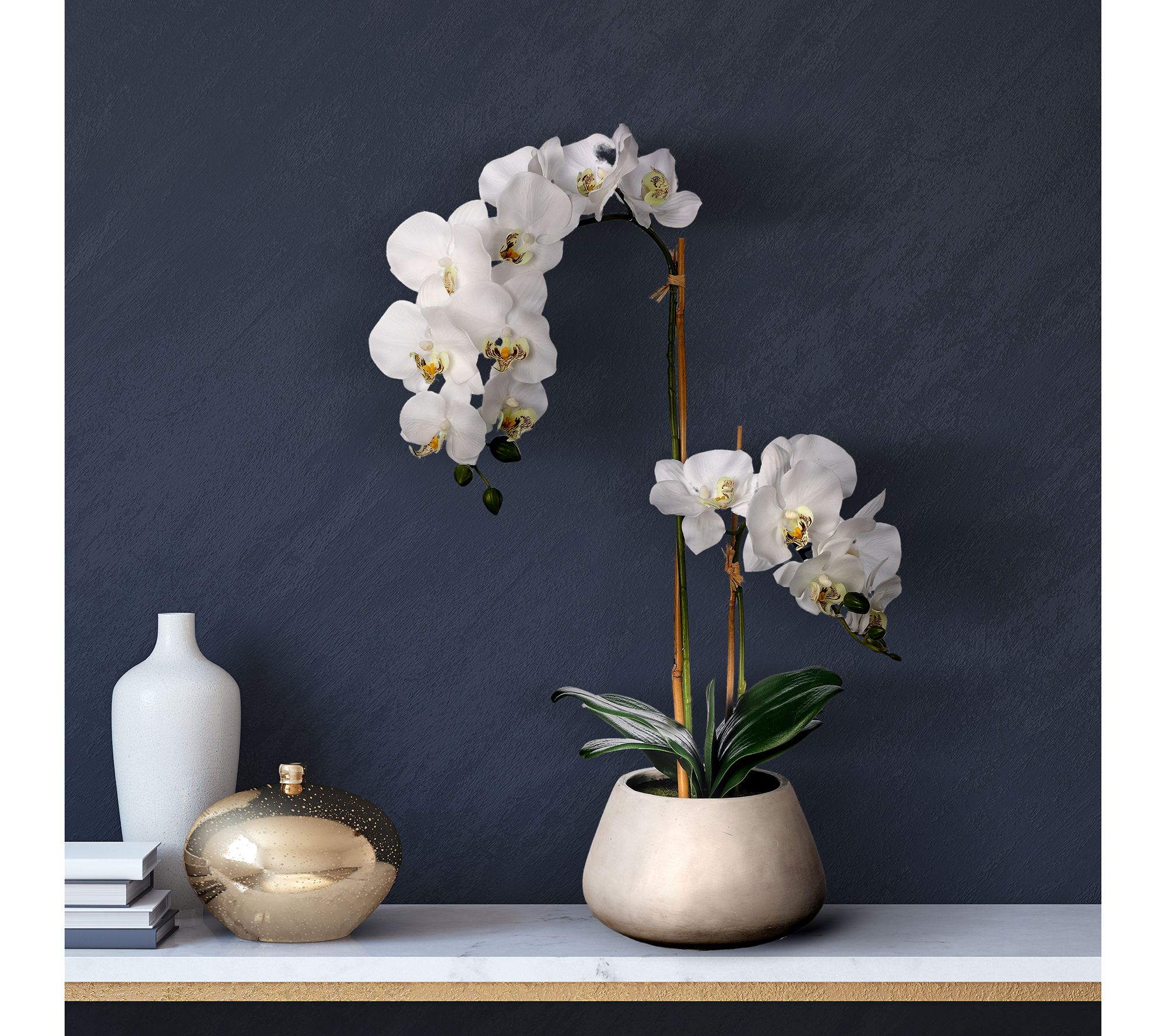 24" Natural Touch Phalaenopsis In Pot by Valerie