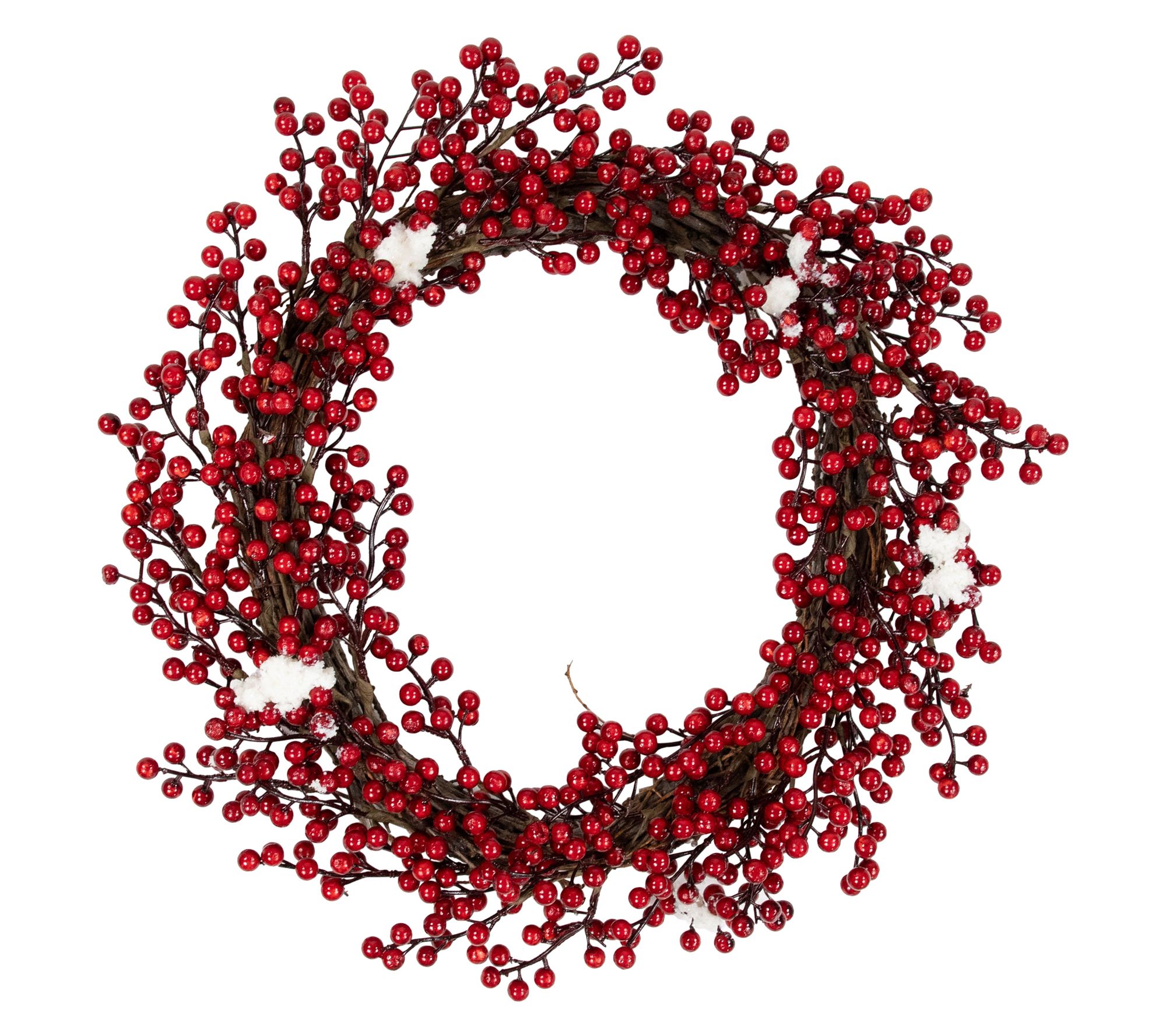 Northlight Frosted Berry Artificial Christmas Wreath 18"