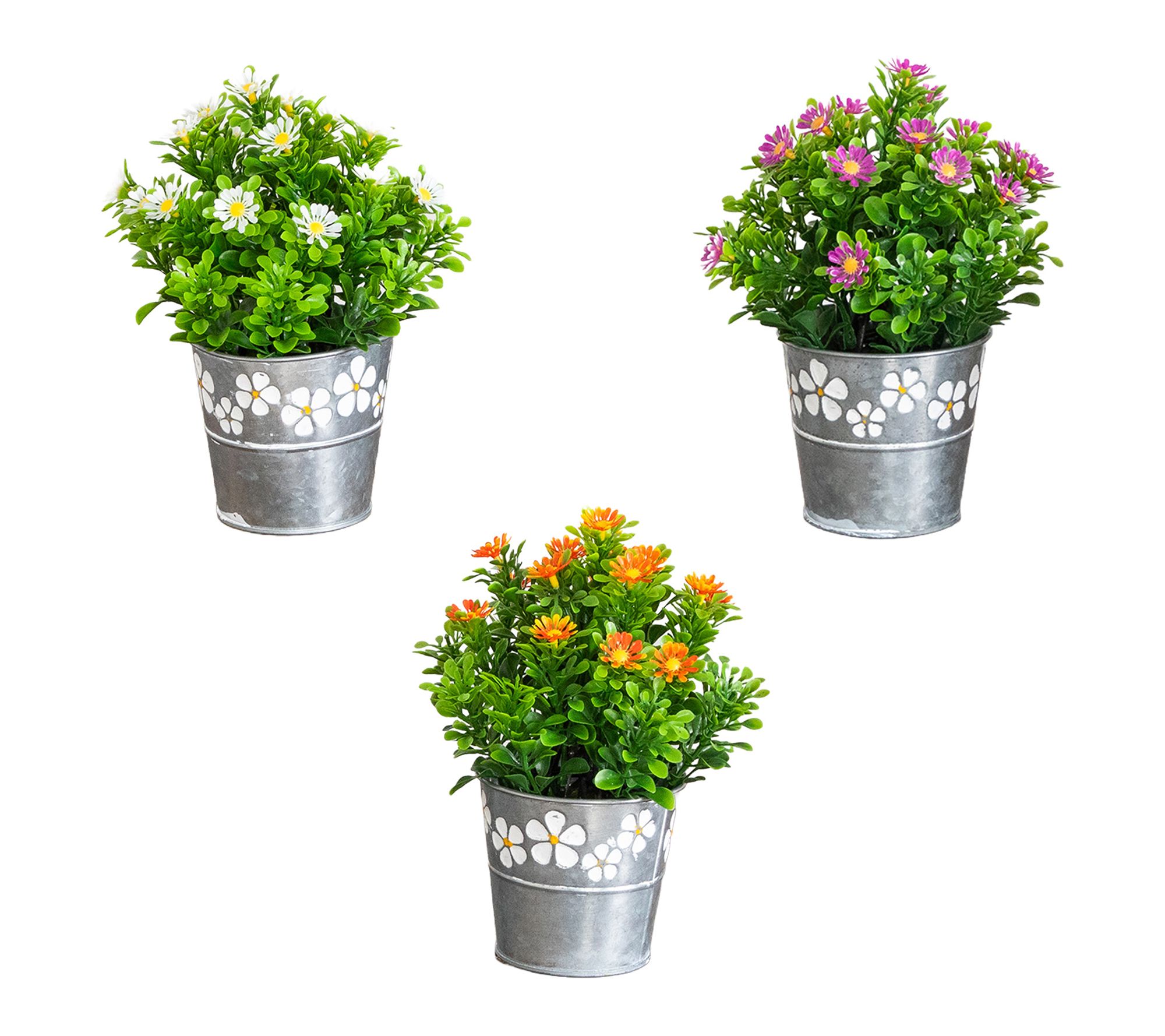 9-in Daisy Arrangement in Planter - Set of 3 by Nearly Natural