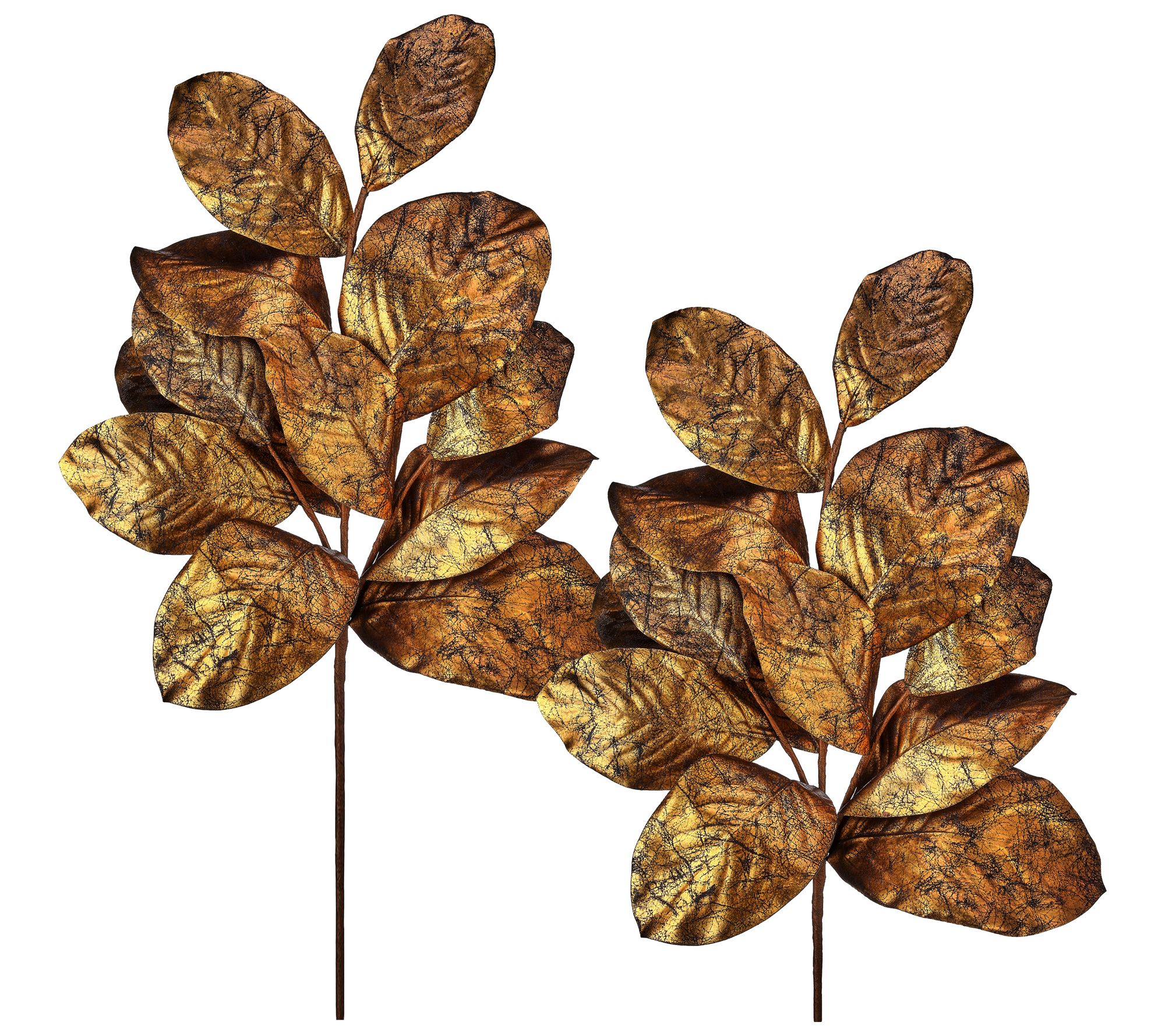 37" Gilded Magnolia Leaf Spray Set of 2 by Valerie