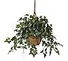 English Ivy Hanging Basket Silk Plant by NearlyNatural
