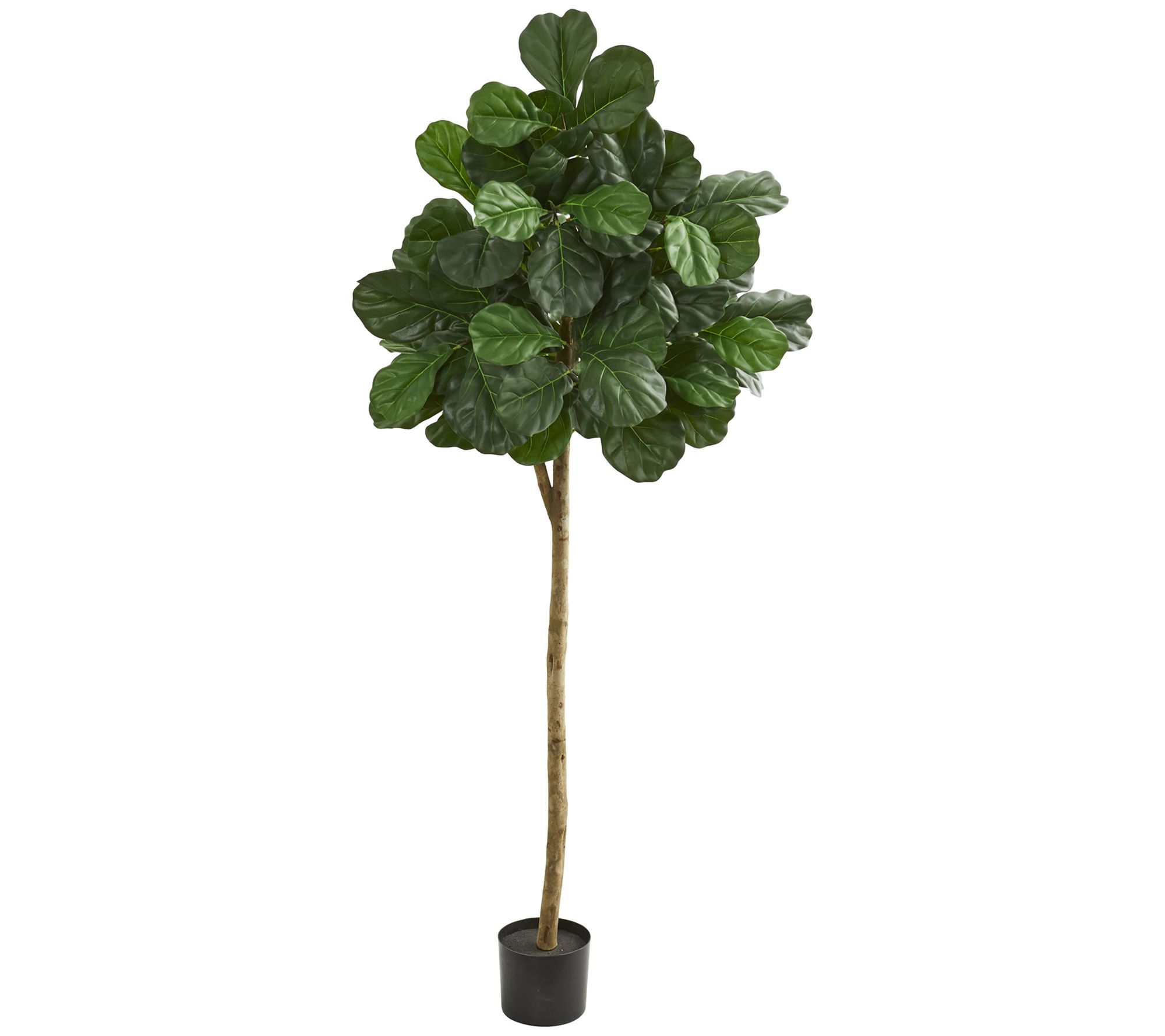 6' Fiddle Leaf Fig Artificial Tree by Nearly Natural