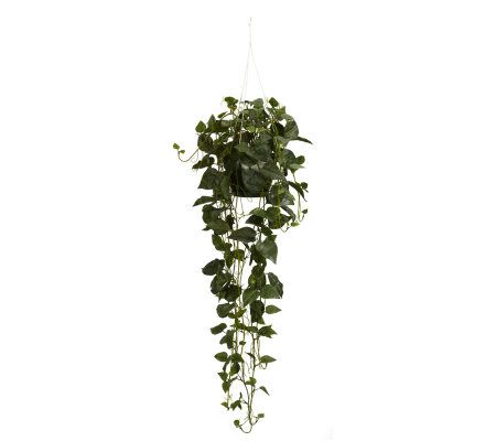 Philodendron Hanging Basket Plant by Nearly Natural