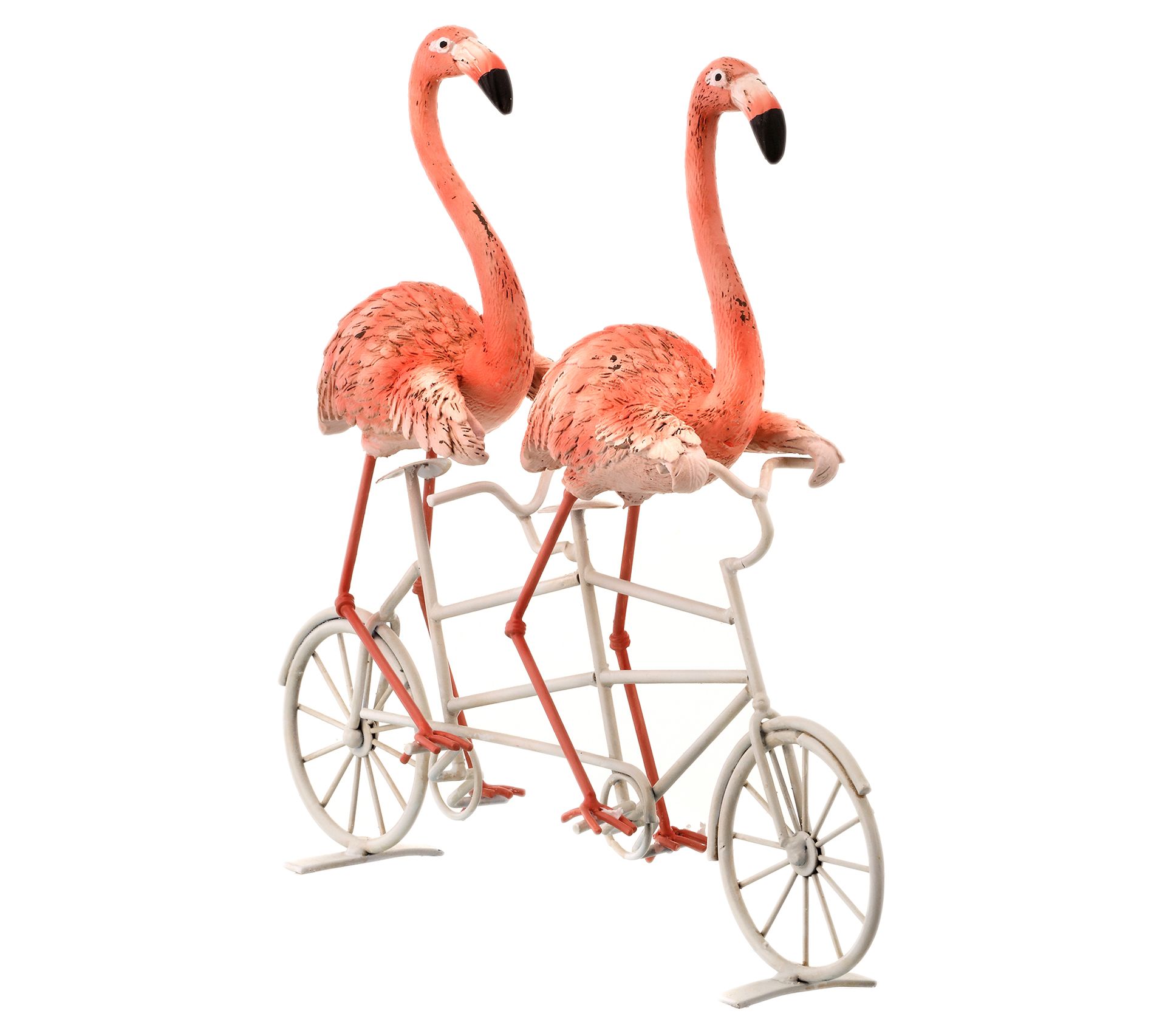 flamingo bike for adults