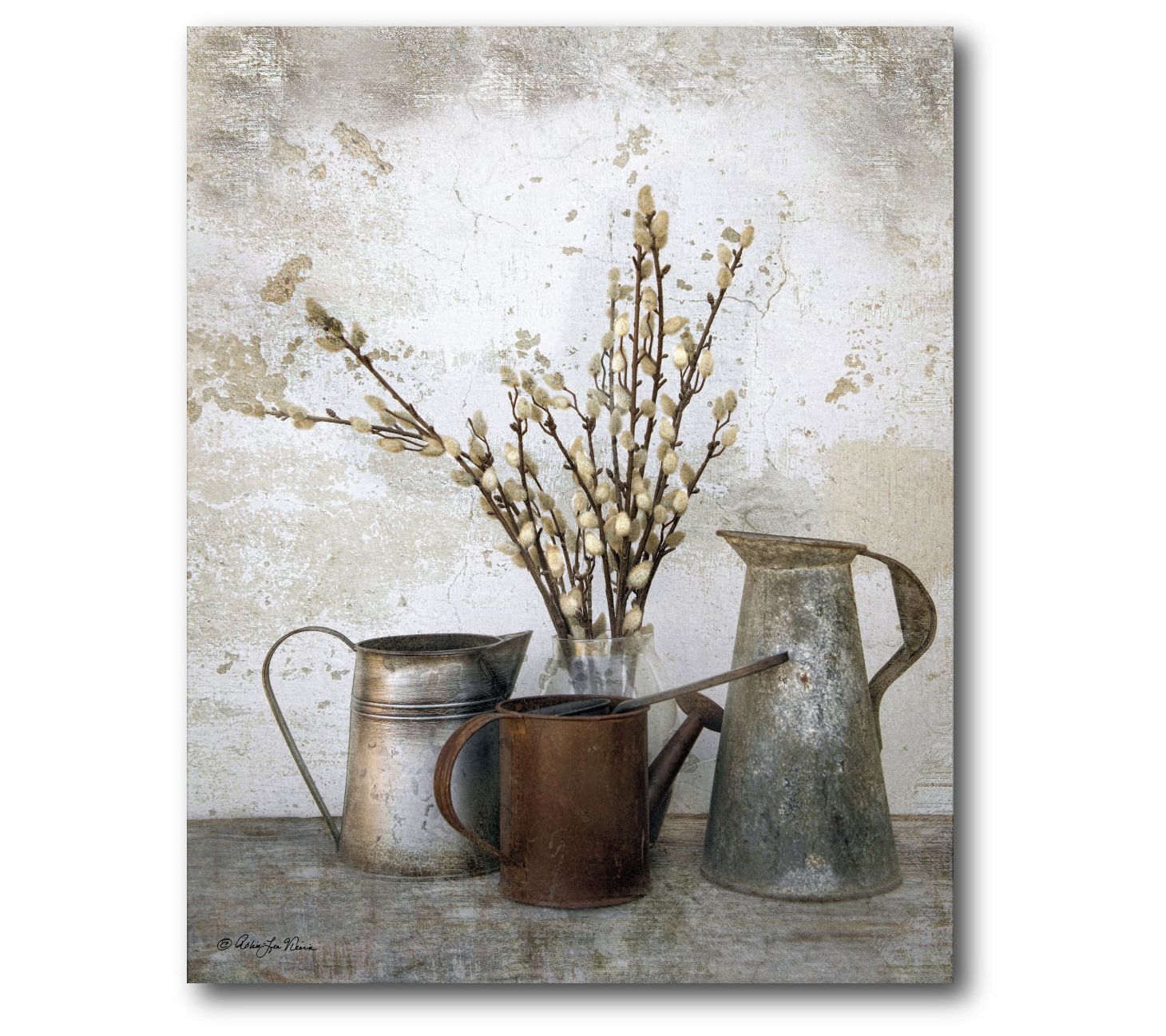 Courtside Market Three Watering Cans 16" x 20"Canvas Wall Art