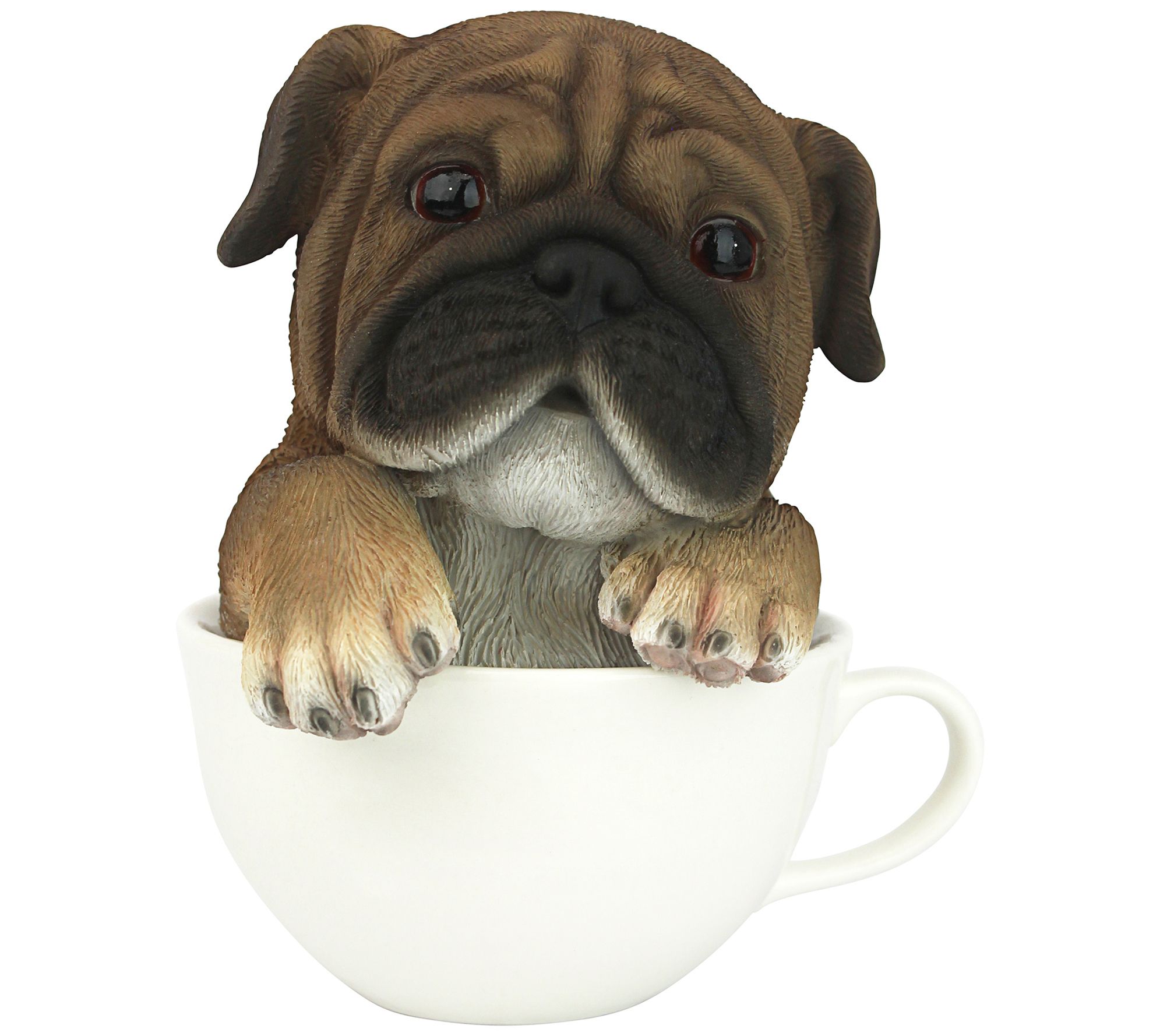 Design Toscano Puppuccino Pup In Cup Collectible Dog Statue - QVC.com