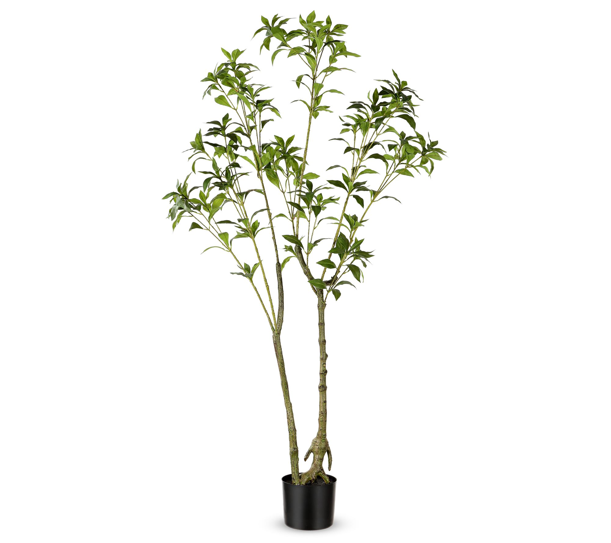 Safavieh Faux 60" Potted Pieris Japonica