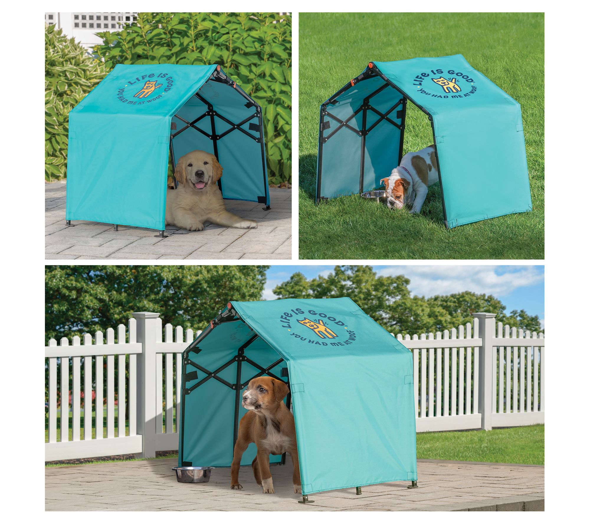 Life is Good You Had Me at Woof Pop-up Dog Shade - QVC.com