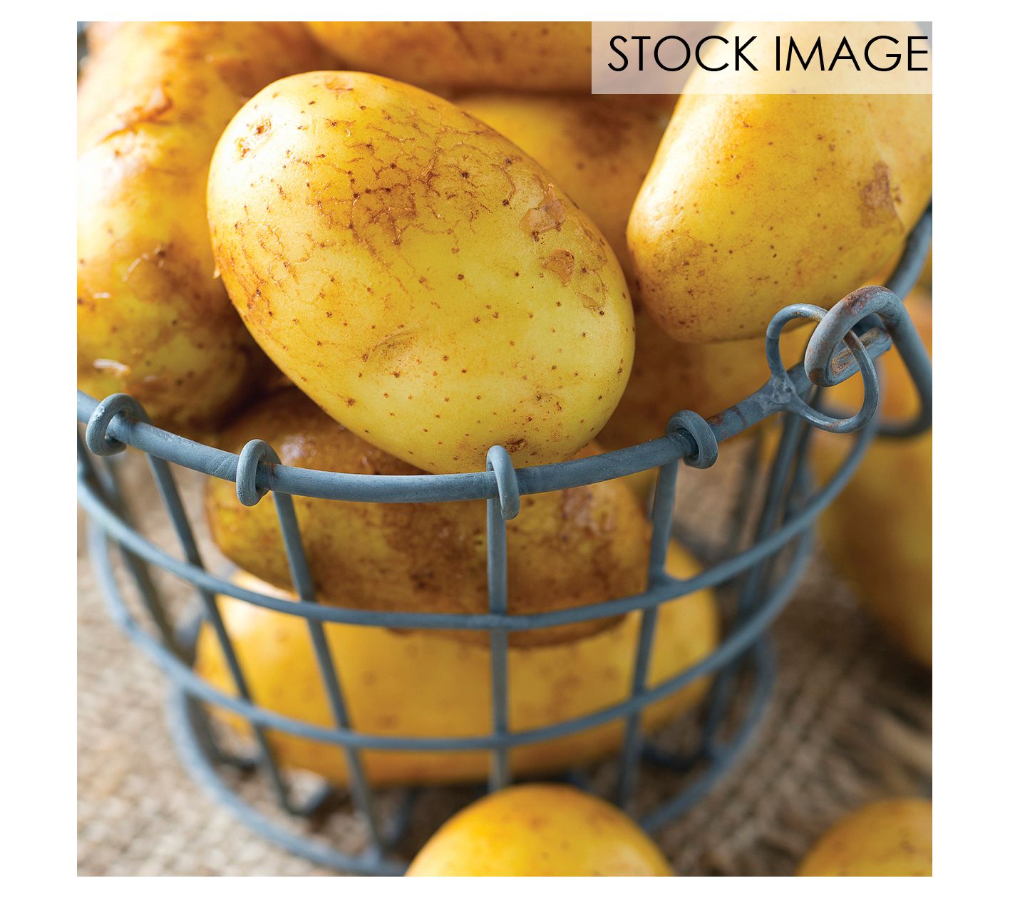 Van Zyverden Potatoes Yukon Gold Set of 12