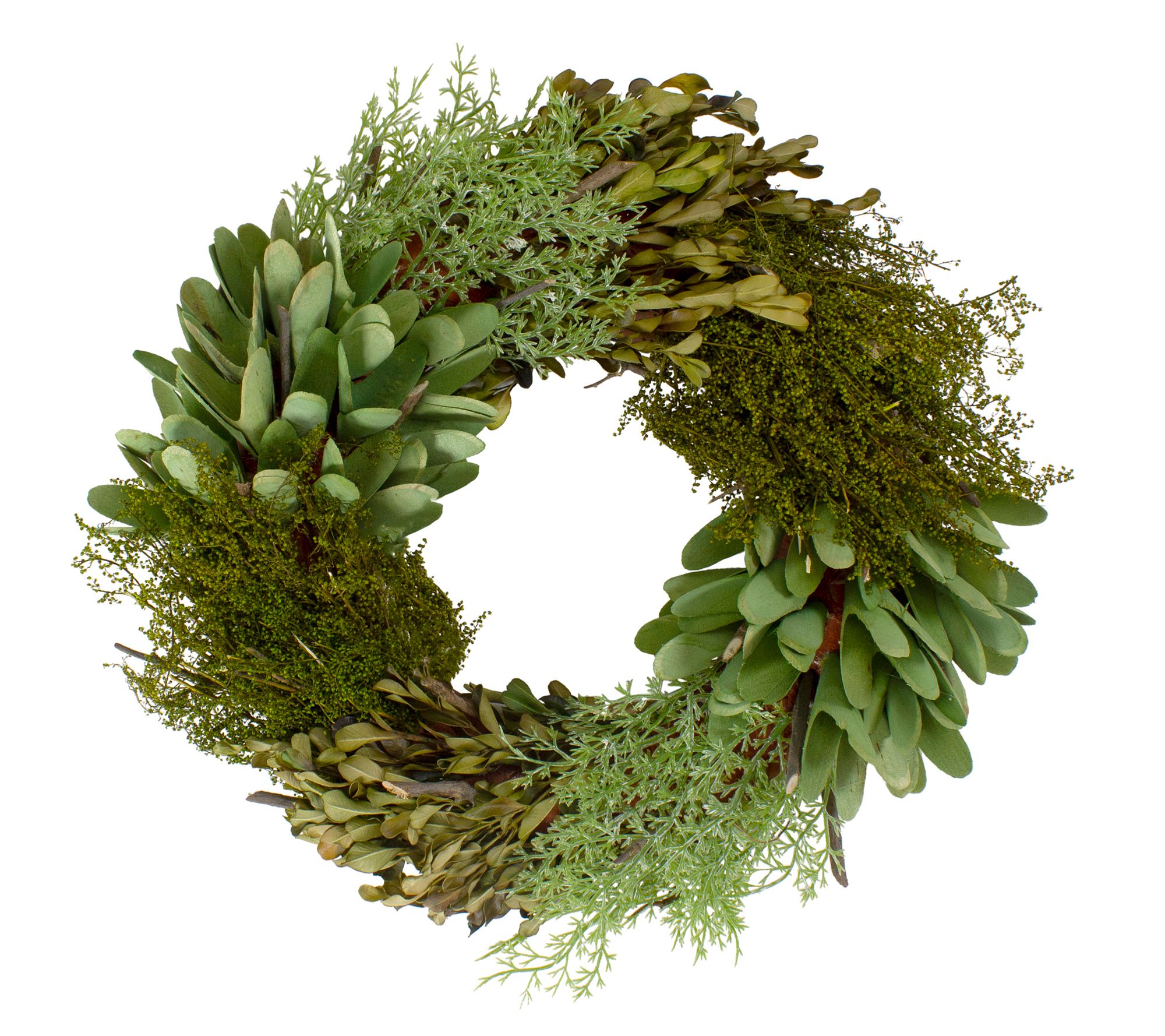 Northlight Cedar  Succulent and Day Grass Spring Wreath
