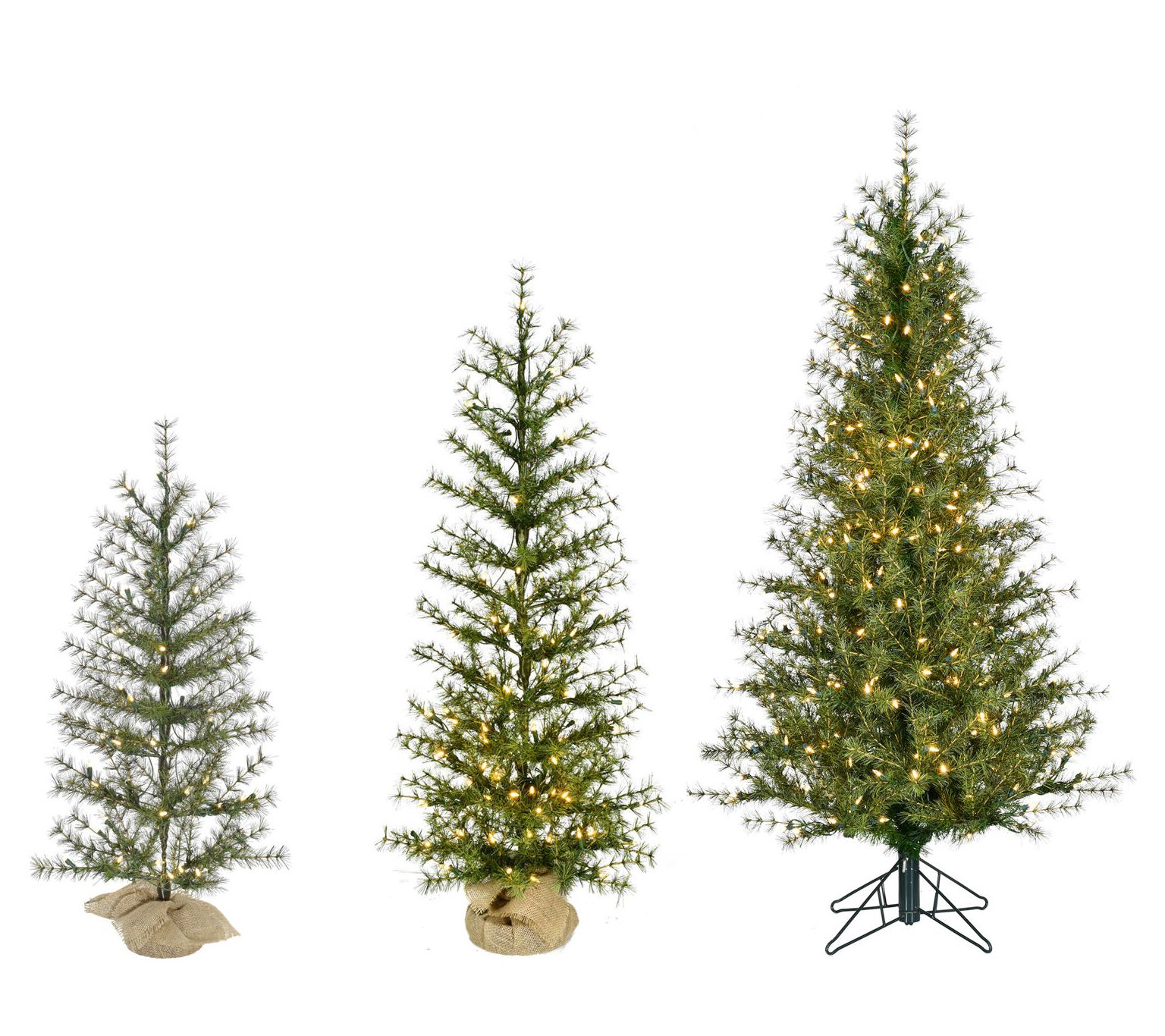 Fraser Hill Farm Set of 3 Farmhouse Fir Trees