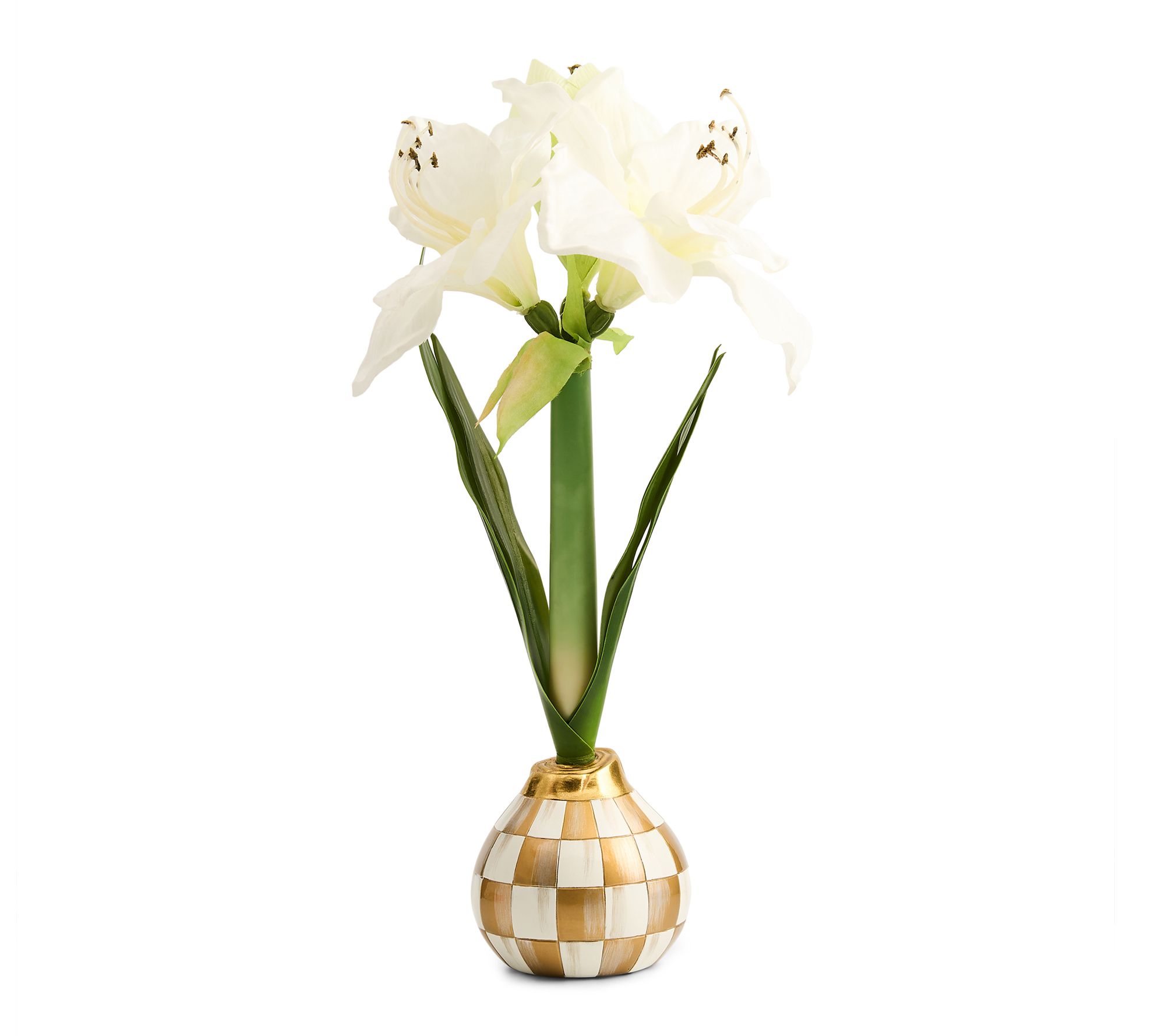 MacKenzie- Childs Amaryllis Bulb Arrangement