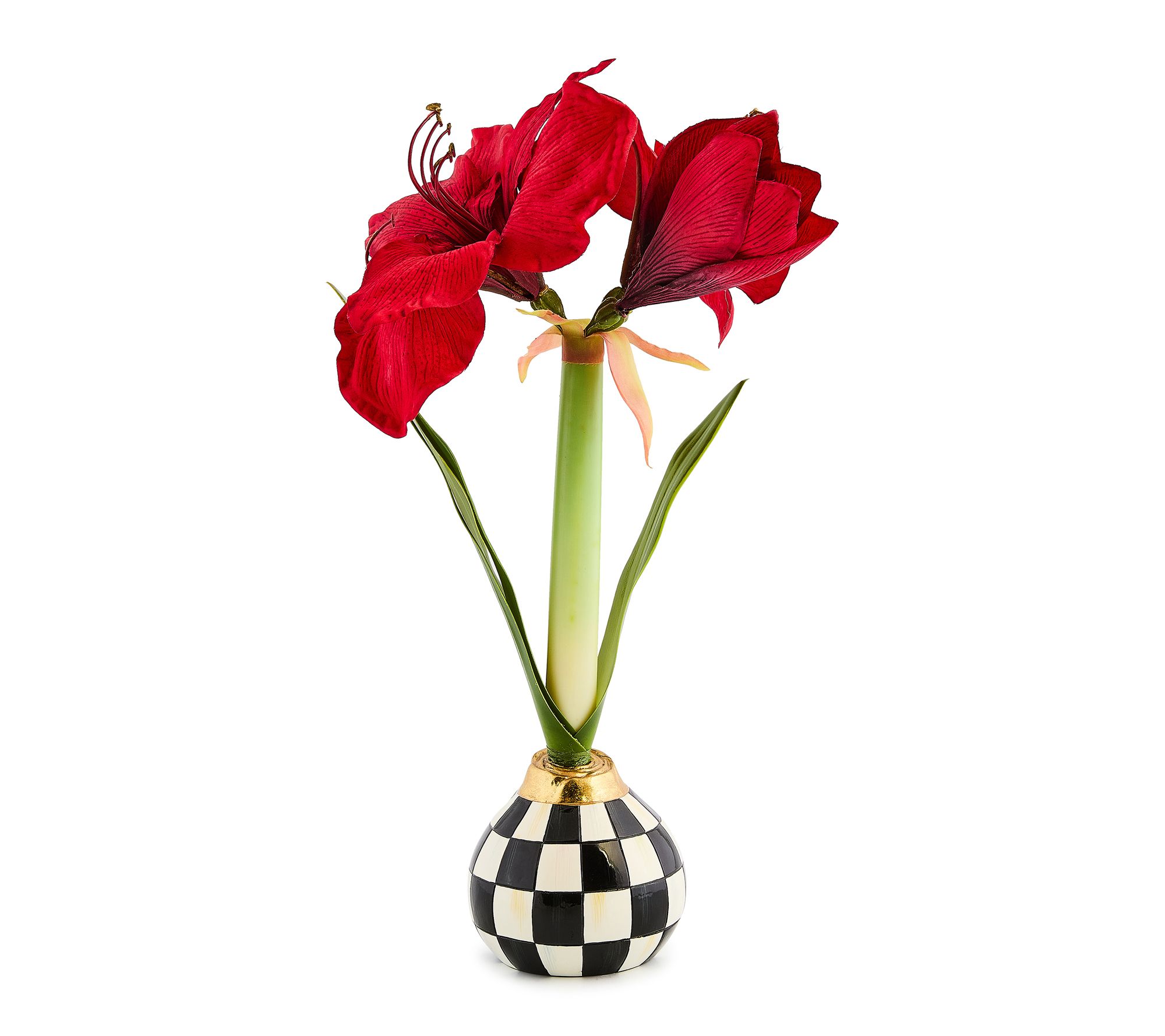 MacKenzie- Childs Amarylis Bulb Arrangement