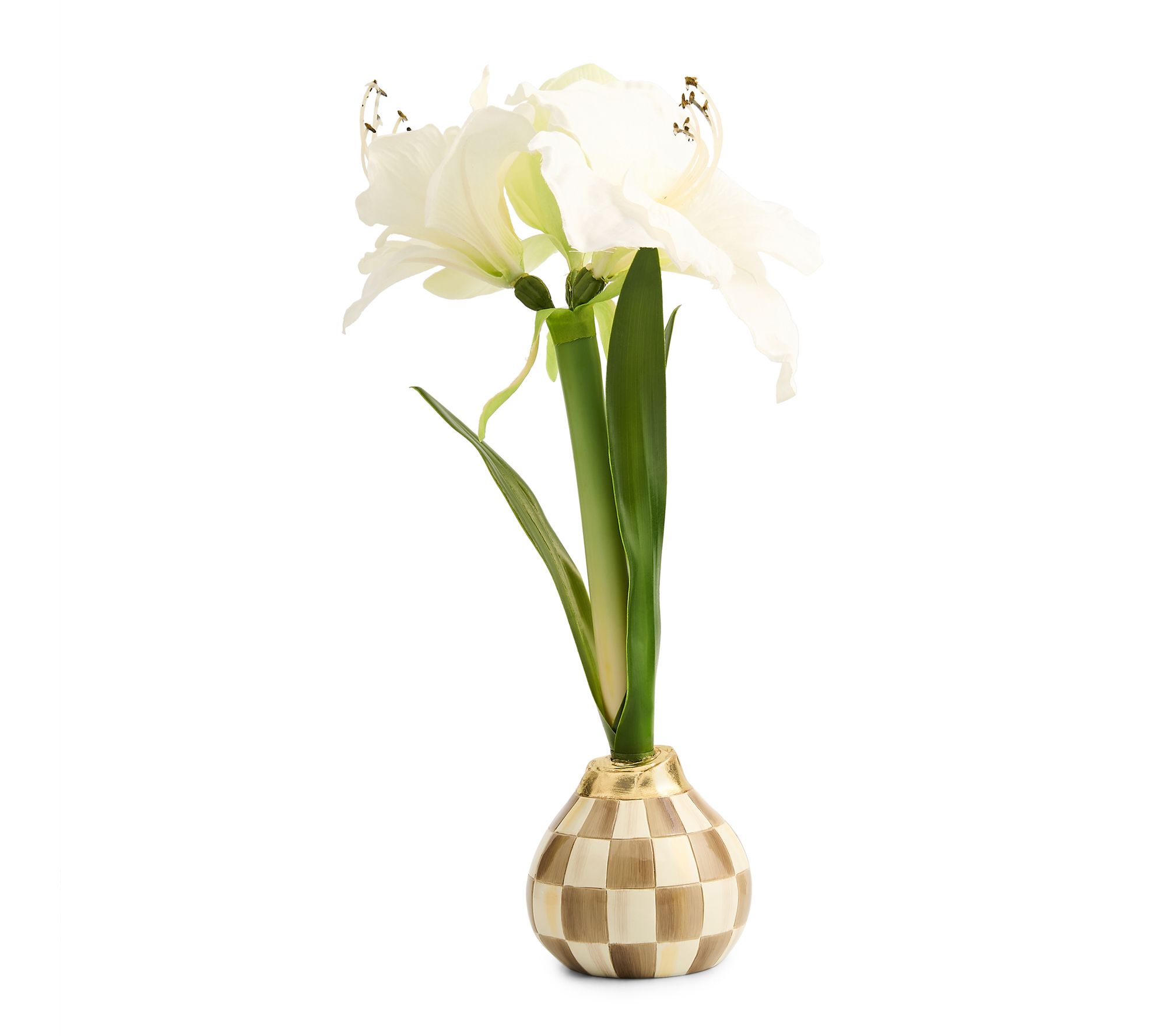 MacKenzie- Childs Amaryllis Bulb Arrangement
