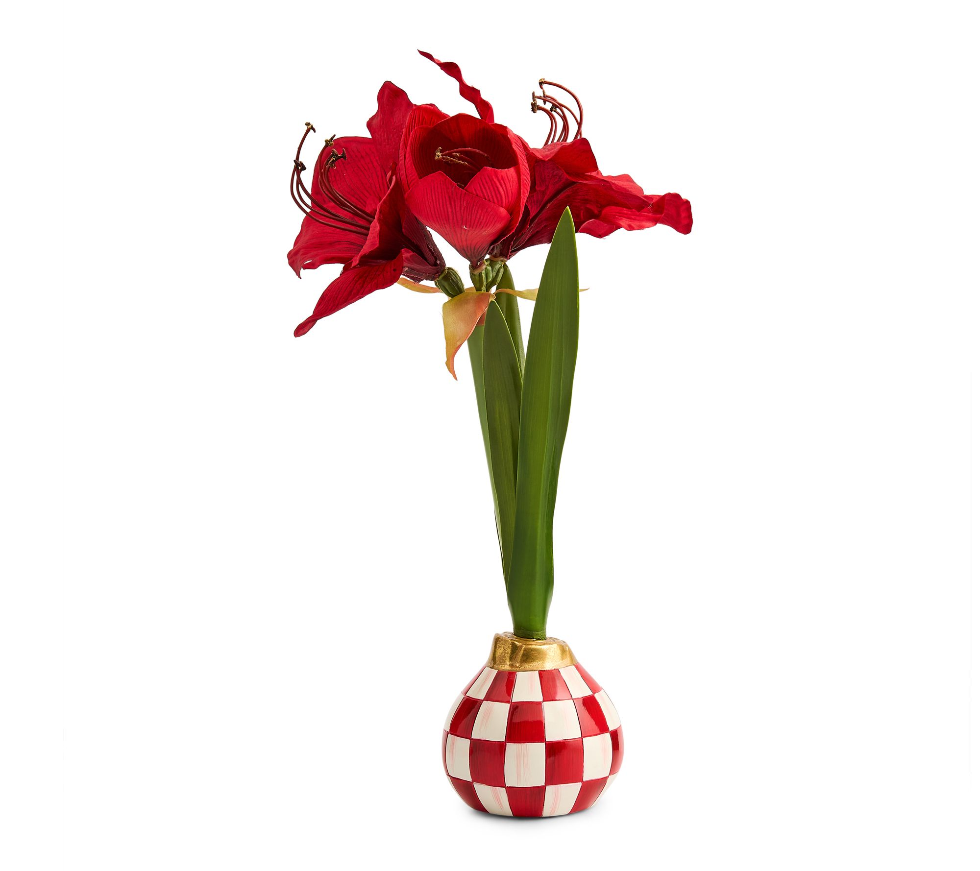 MacKenzie- Childs Amaryllis Bulb Arrangement