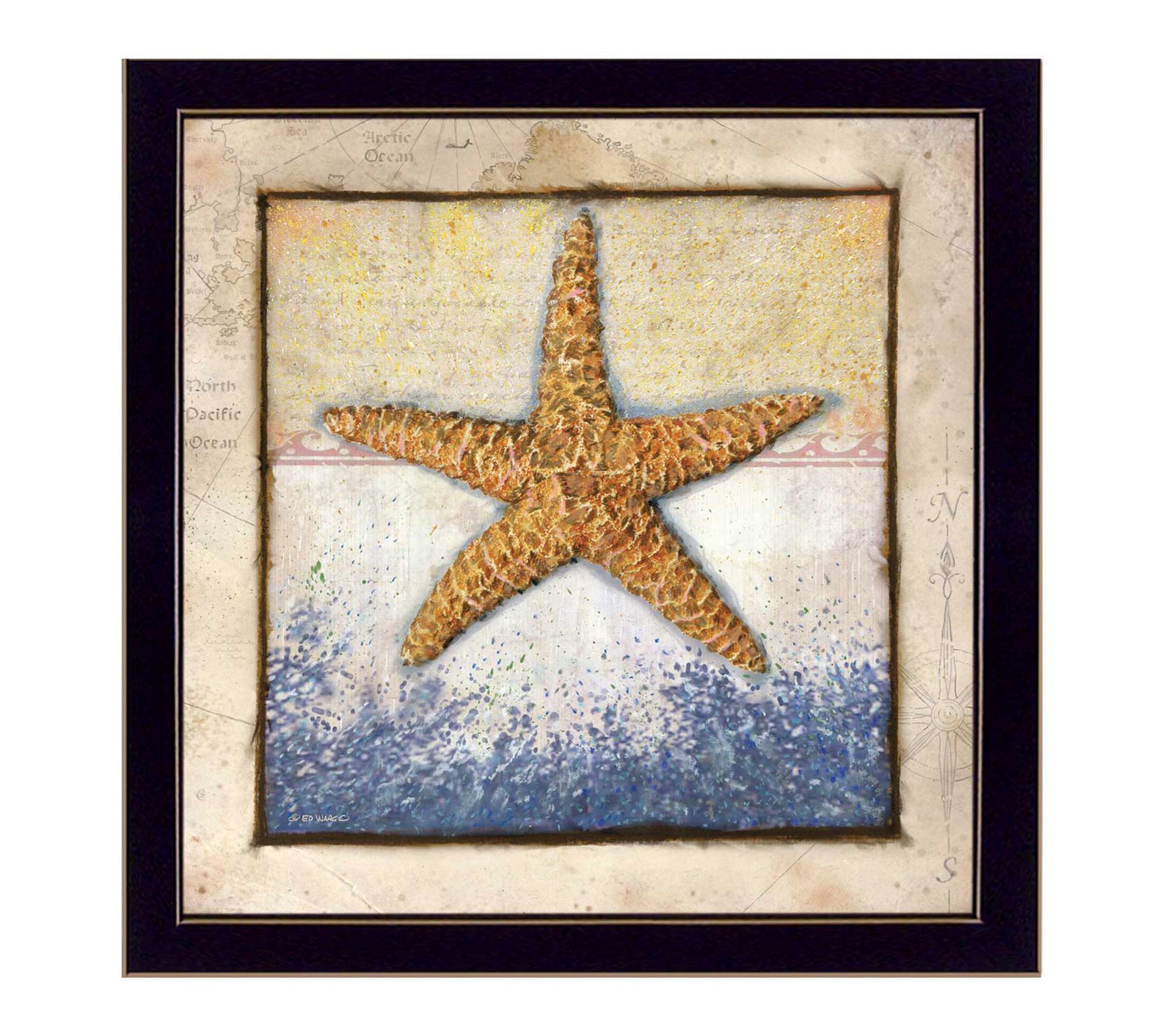 HomeRoots Starfish Black Framed Print Wall Art