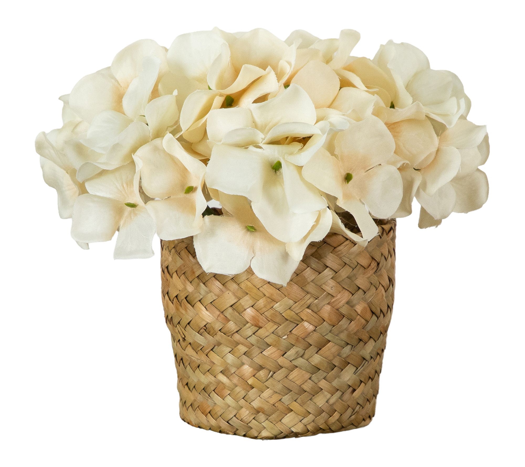 7-in Cream Hydrangea in Woven Basket by Nearly Natural