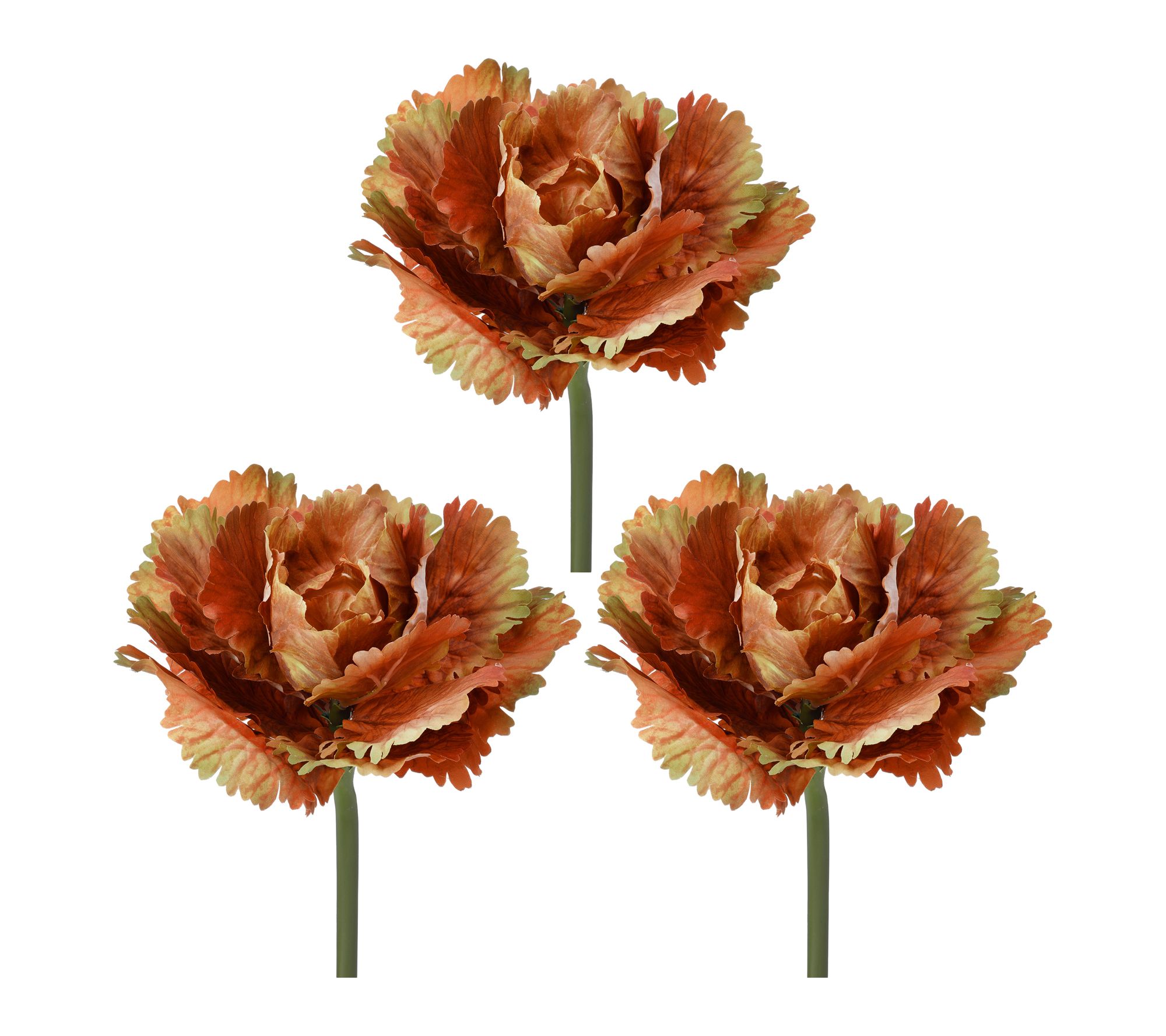 10" Autumn Cabbage Stem Set of 3 by Valerie