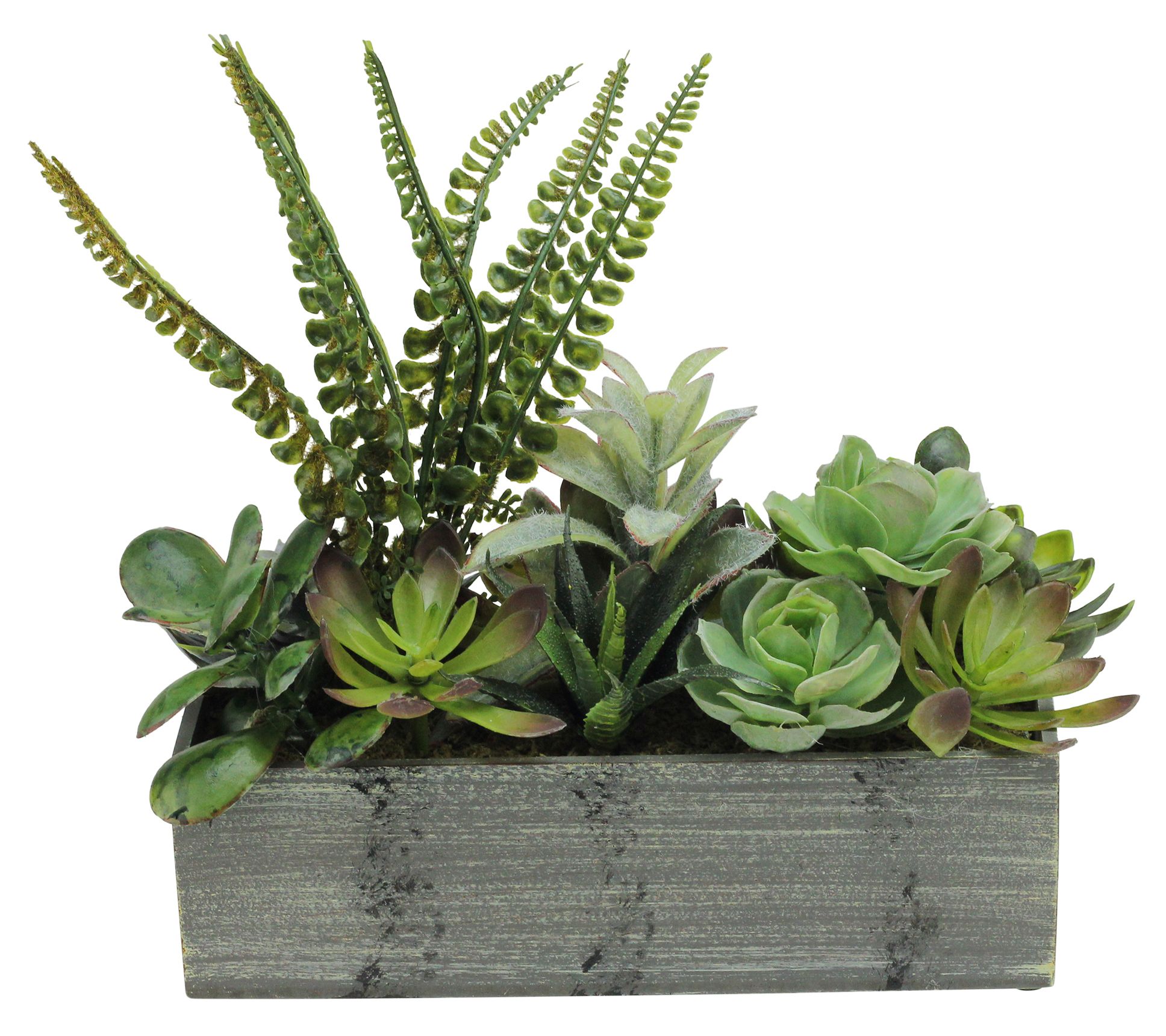 Northlight 11.75" Artificial Succulent Plants in Planter