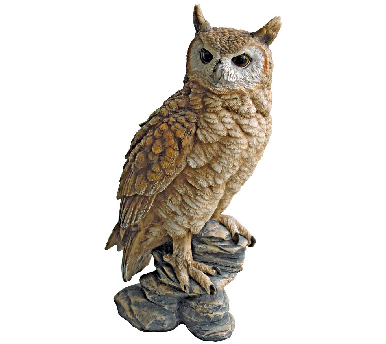 Design Toscano Perching Forest Owl Statue - QVC.com