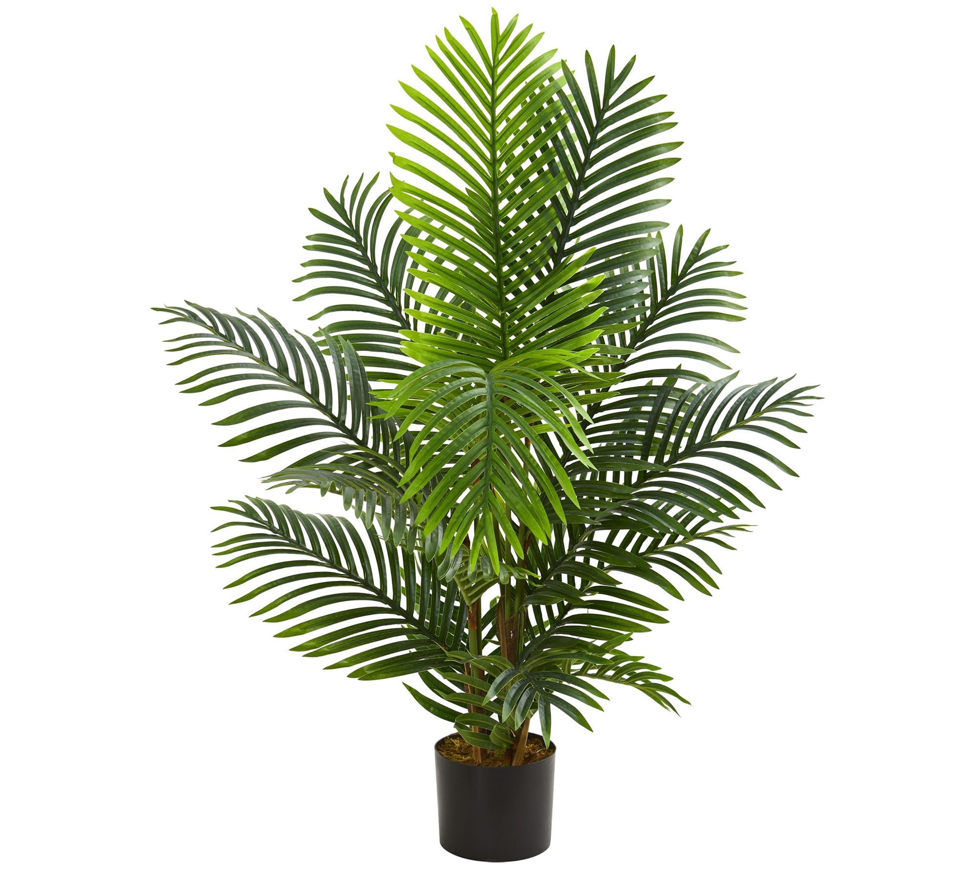 4' Paradise Palm Artificial Tree by Nearly Natural - QVC.com