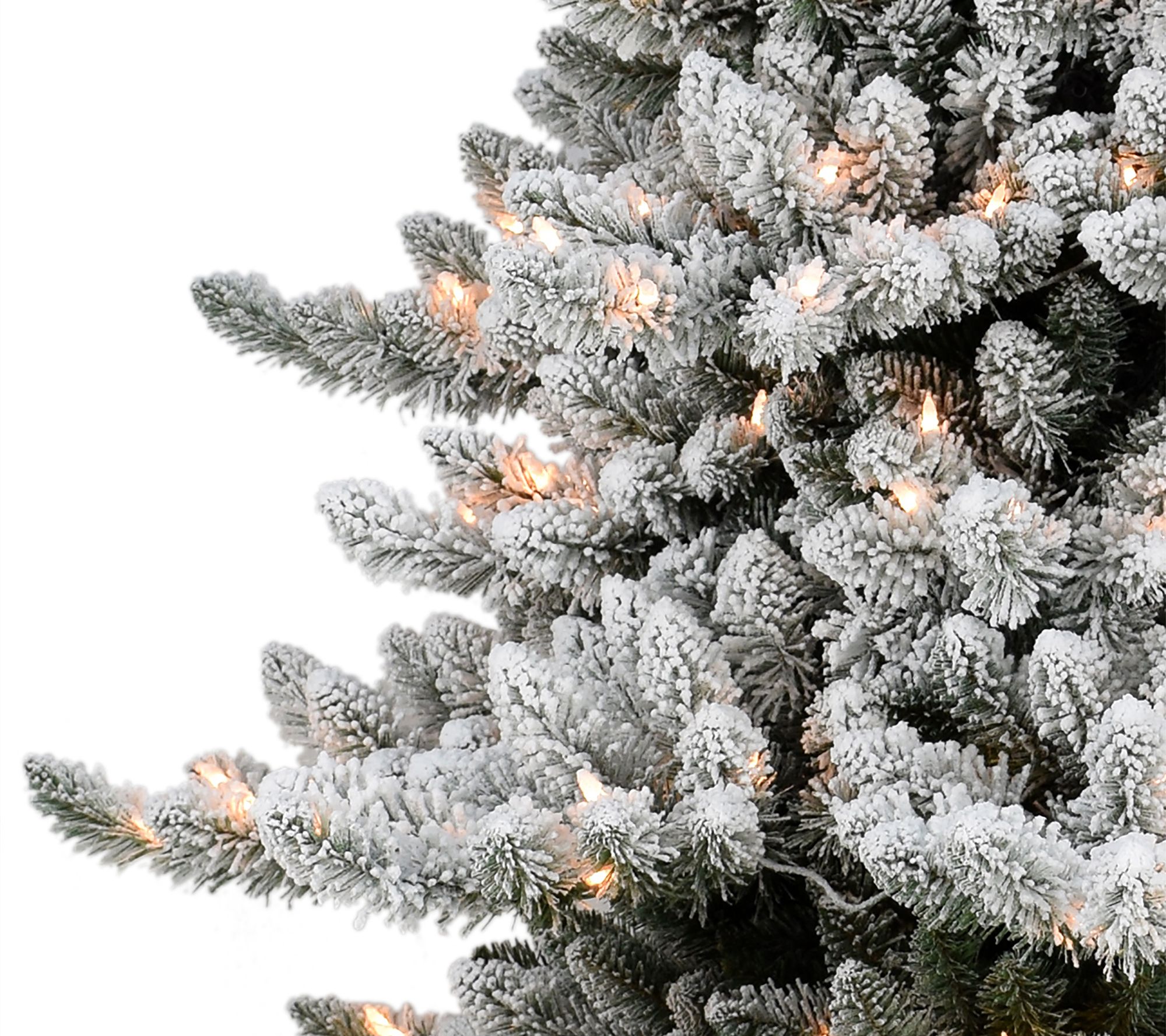 Puleo 9' PreLit Slim Flocked Royal Majestic Spruce Tree