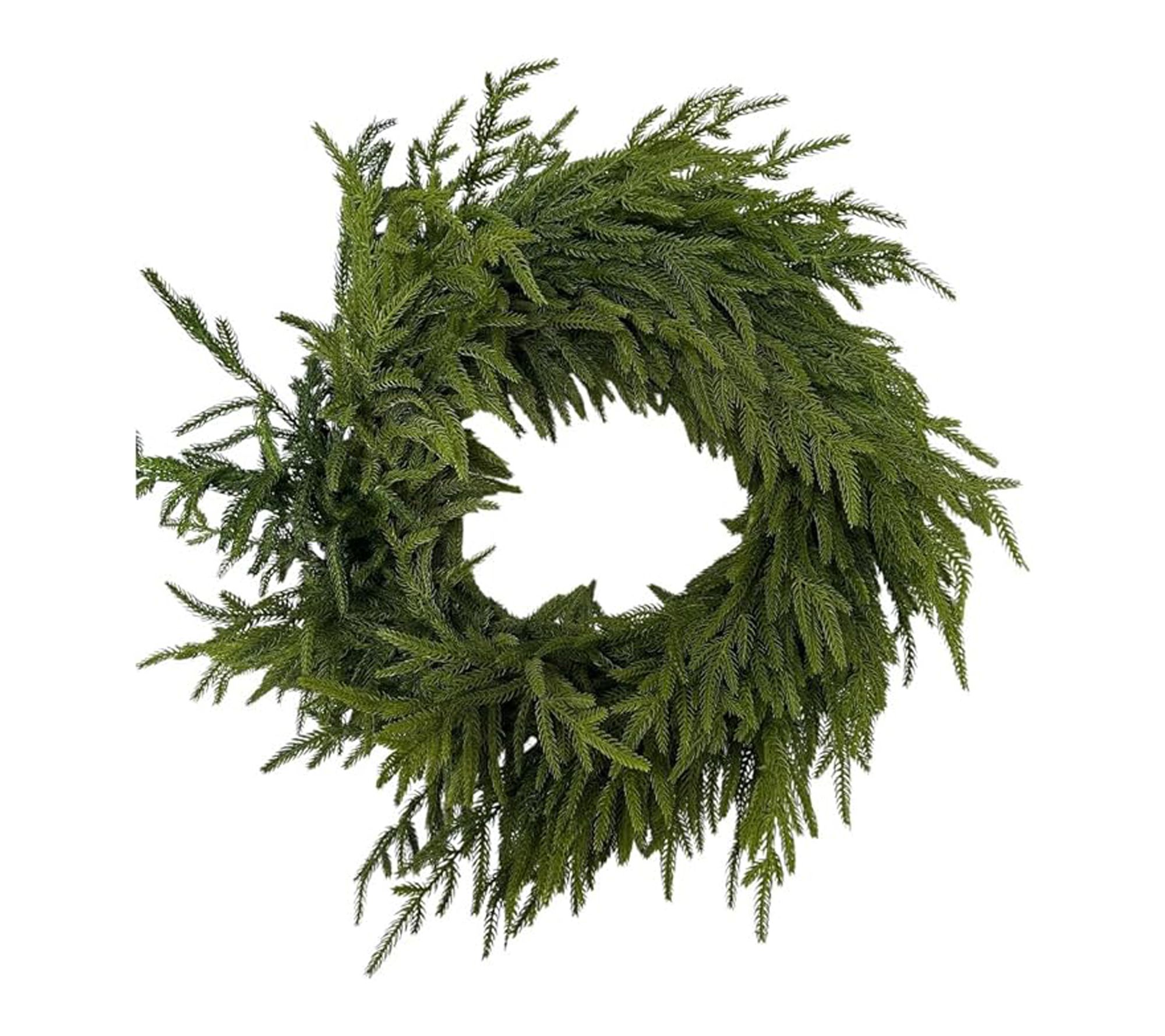 RC Home Decor 24" Real Touch Norfolk Pine Wreath