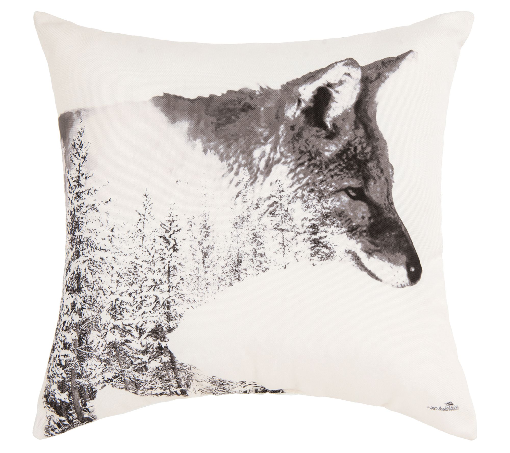 18" x 18" Forest Animal Indoor/Outdoor  Pillowby Valerie