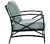 Kaplan Arm Chair in Oiled Bronze with Cushions, 2 of 6