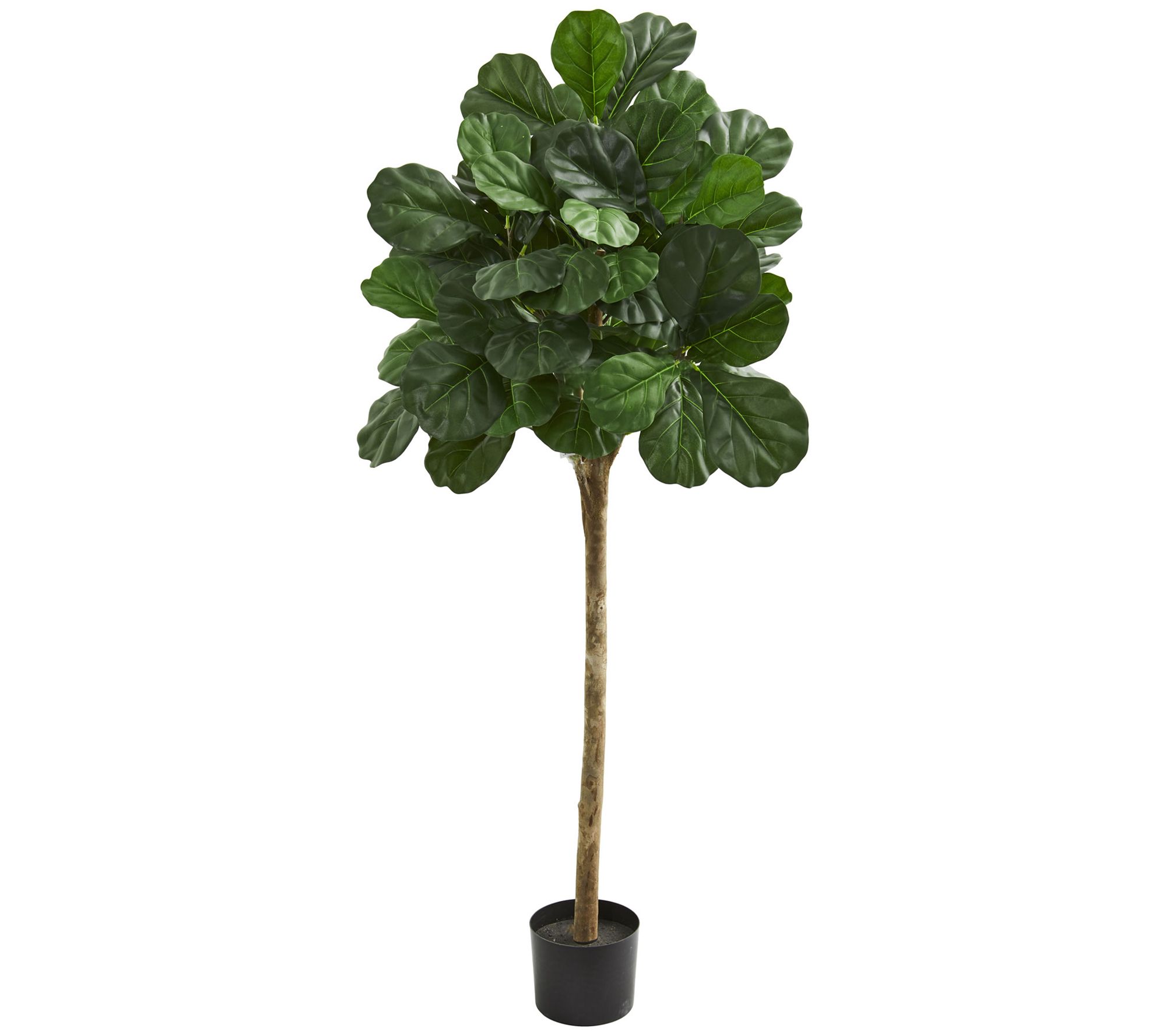 How to Pot Your Faux Fiddle Leaf Fig Tree - Lauren McBride