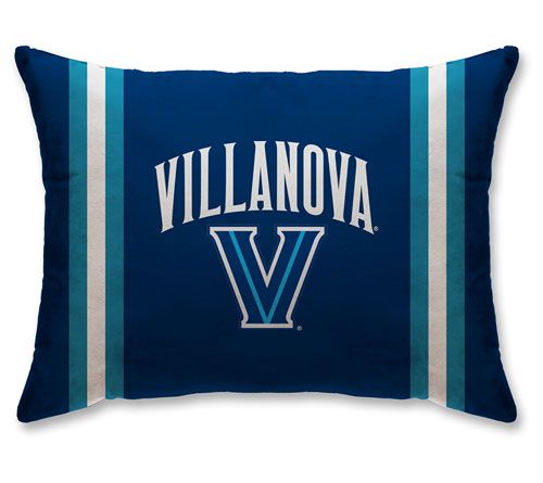 Pegasus Sports NCAA Standard Logo Stripe Bed Pillow - QVC.com