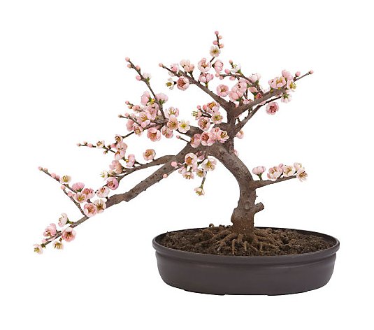 Cherry Blossom Bonsai Tree by Nearly Natural