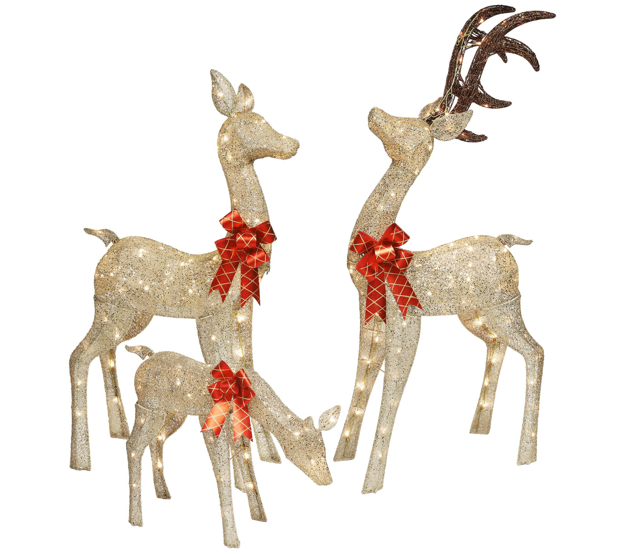 Set of 3 Deer Family with Warm White LED Lights - QVC.com