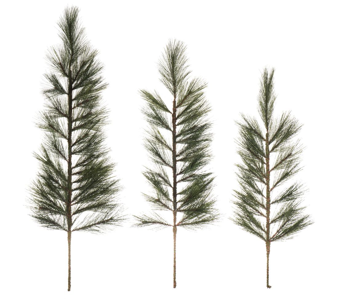 Vickerman set of 3 36-42-48"  White Pine Tops