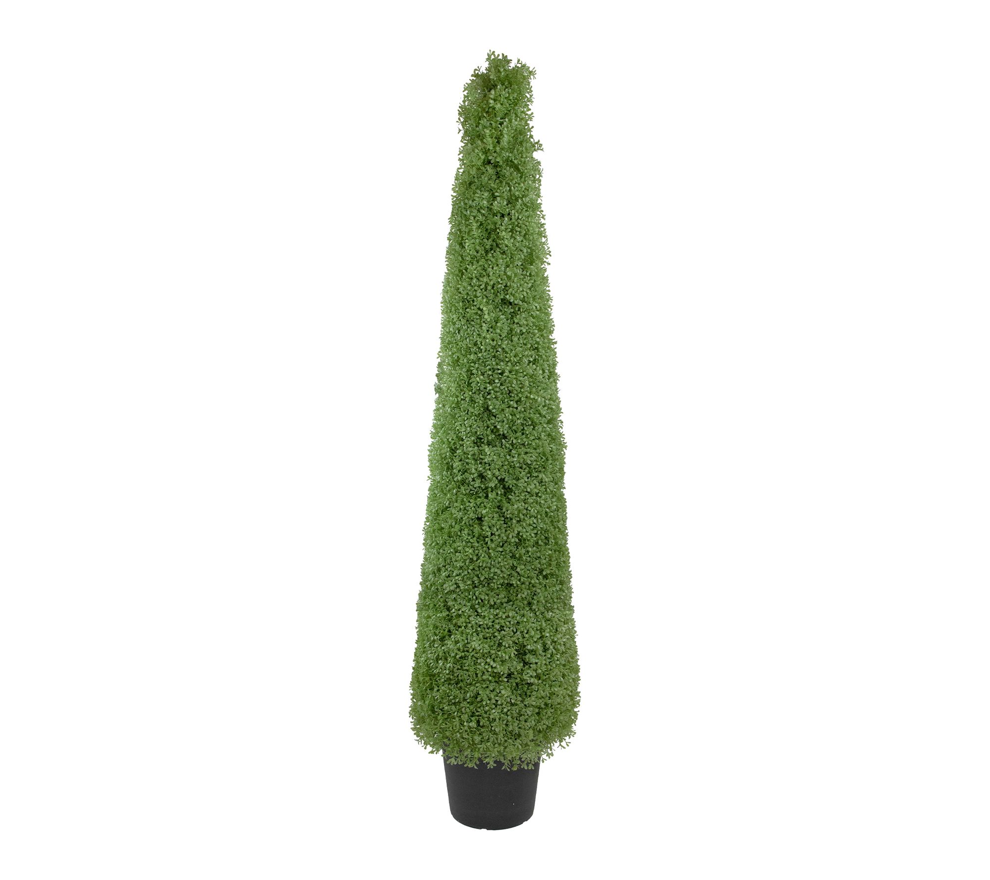 Northlight 6' Boxwood Cone Topiary Tree in Round Pot